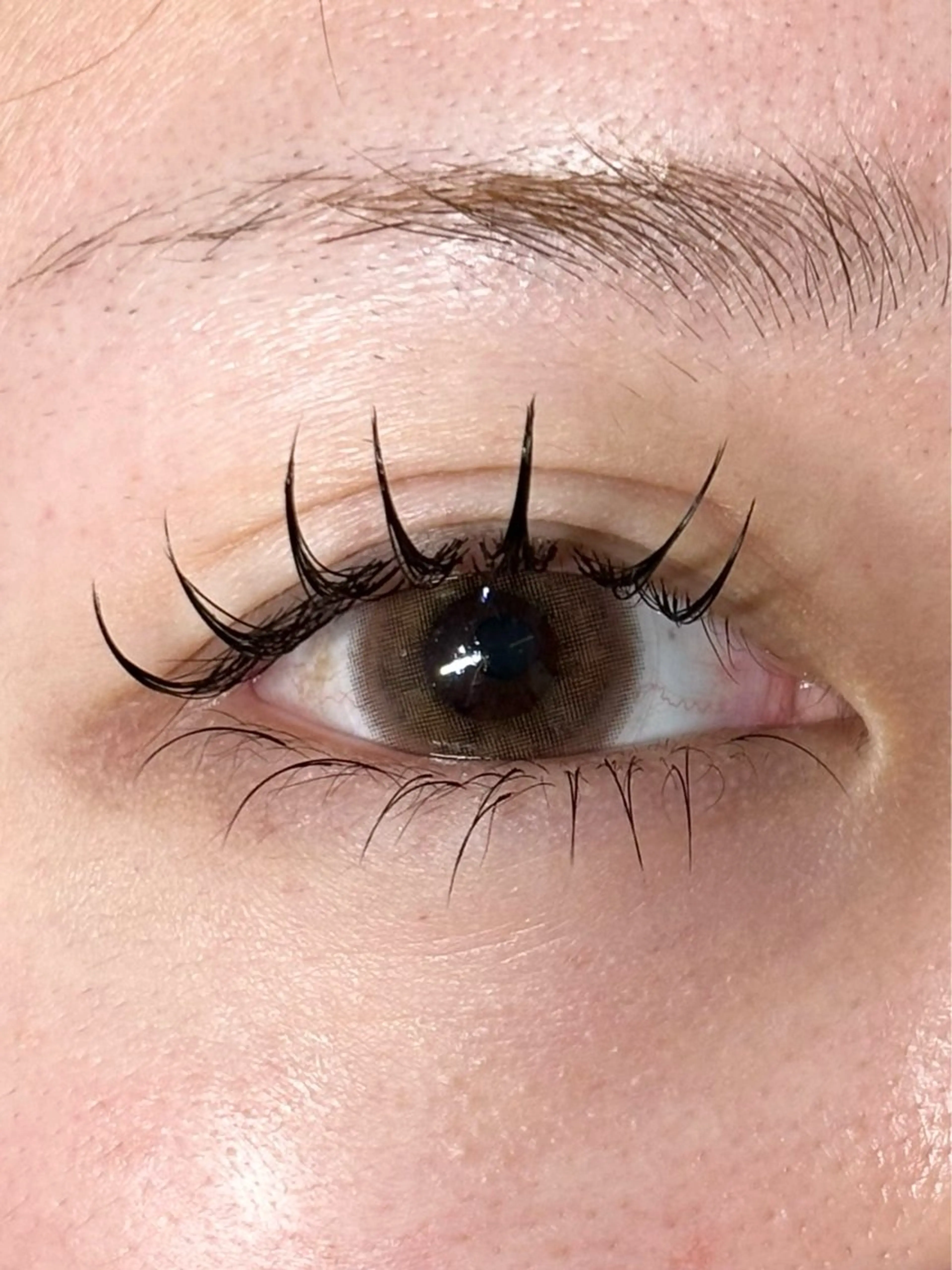 マツエク・マツパ フラットラッシュ 下まつげエクステ LAUREL Kanamiのマツエク・マツパデザイン