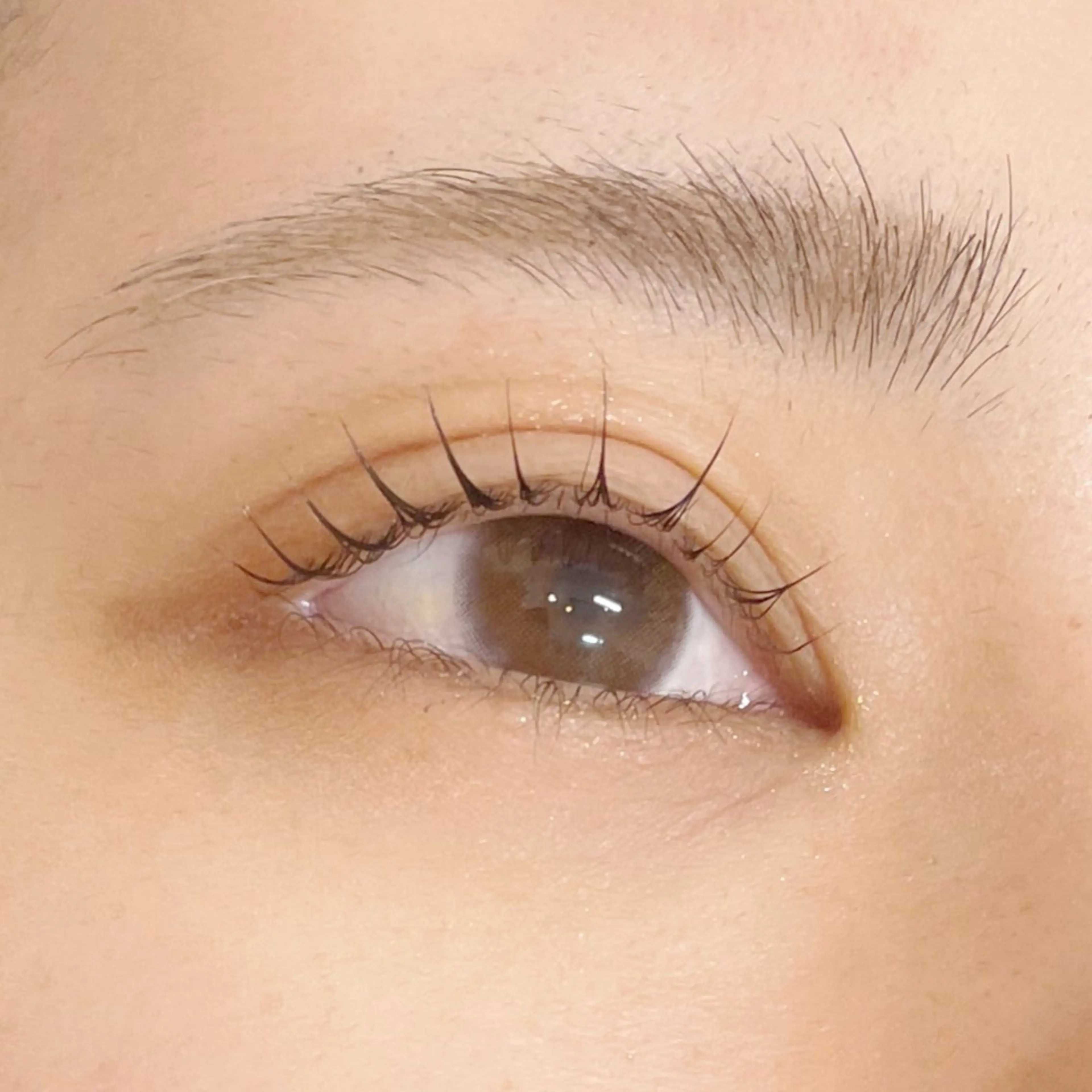 マツエク・マツパ SSINSTUDIO /ami🕊️の眉毛・アイブロウイメージ