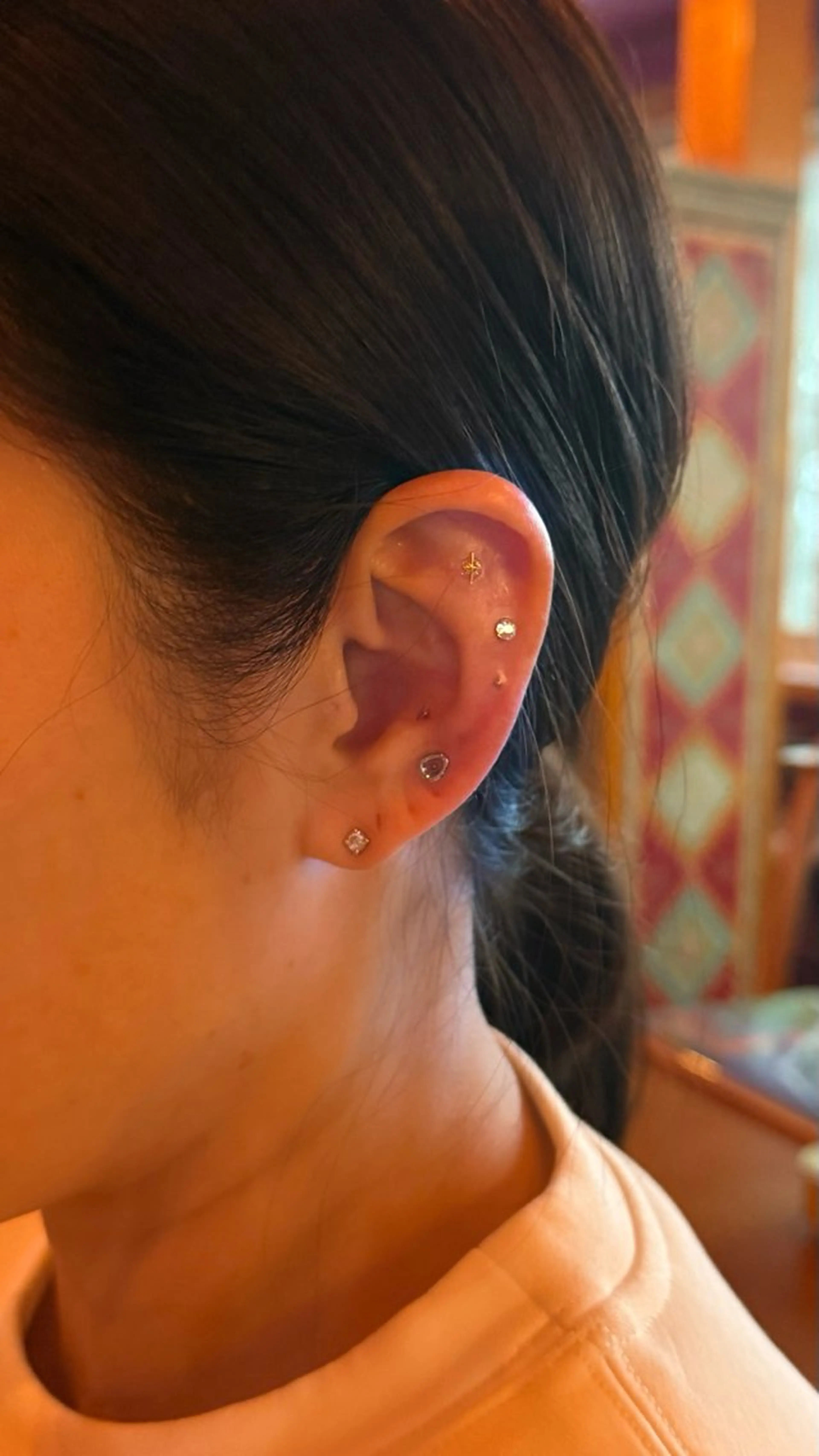 B.napus Nanohaのその他イメージ