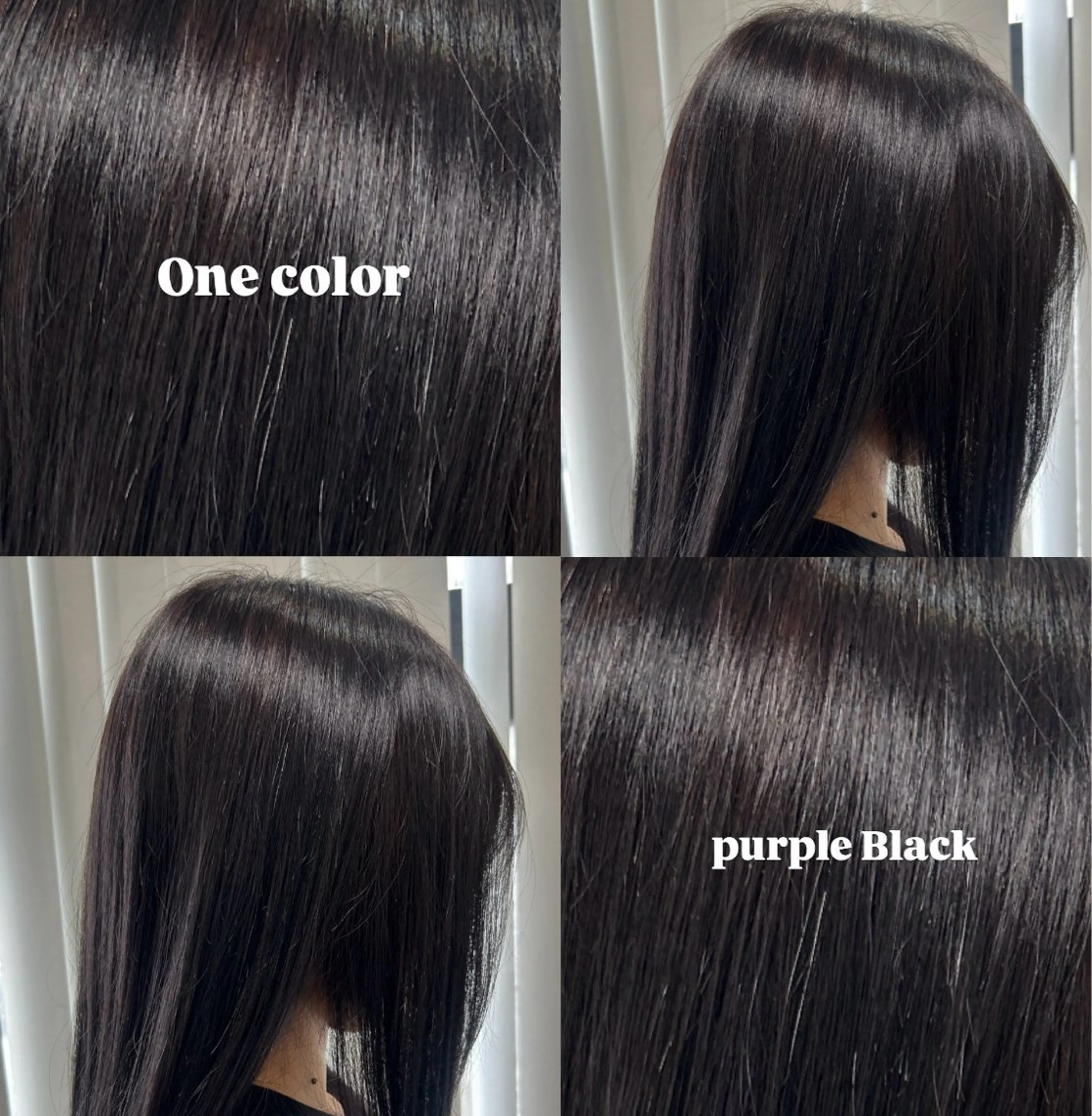 カラー 黒髪 パープルブラック White stone 今村光希のヘアスタイル