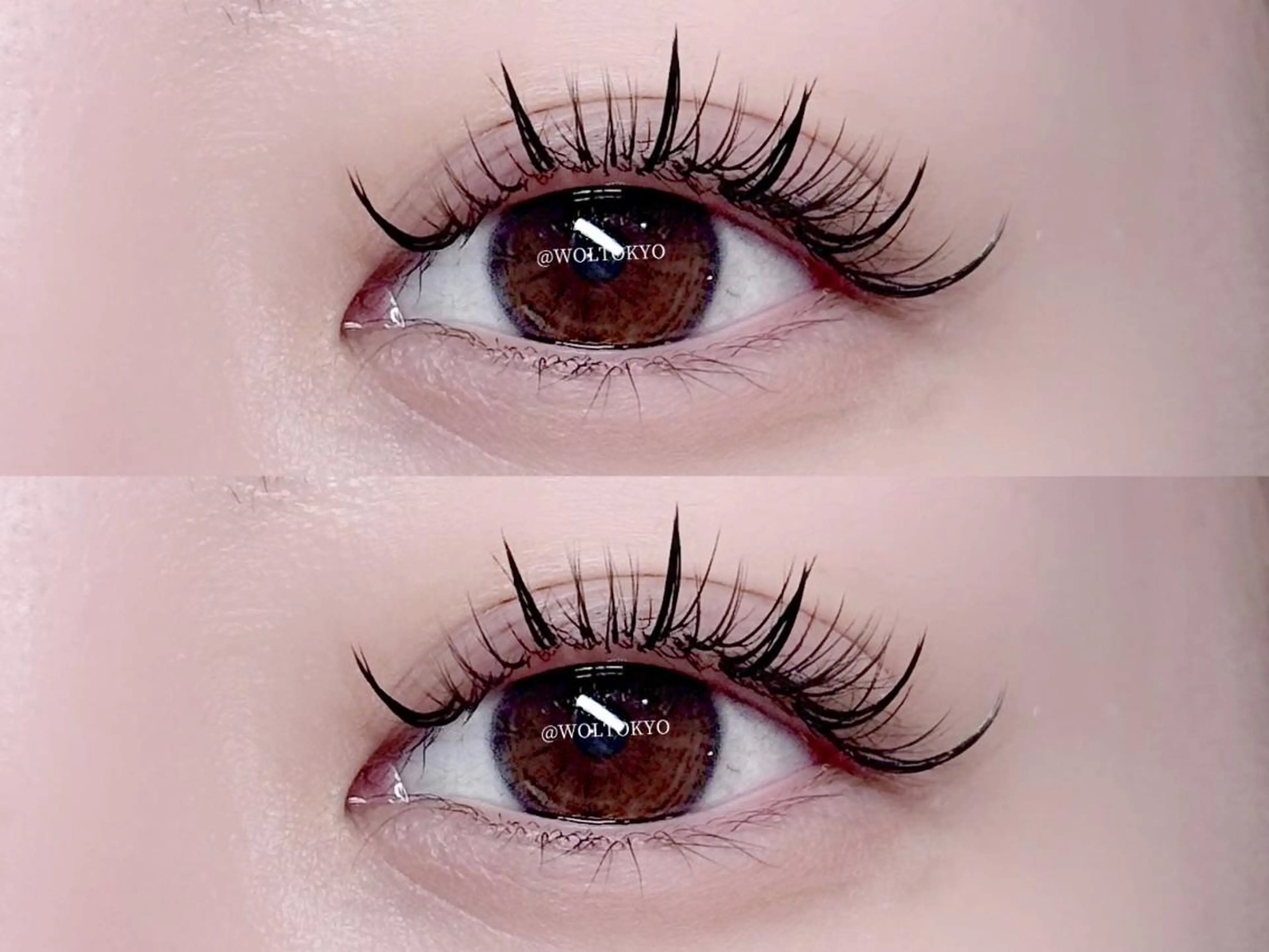 オフなし🪽トレンド人気【束感ナチュラル♪ワンホンマツエク♪100束】 🪽の写真