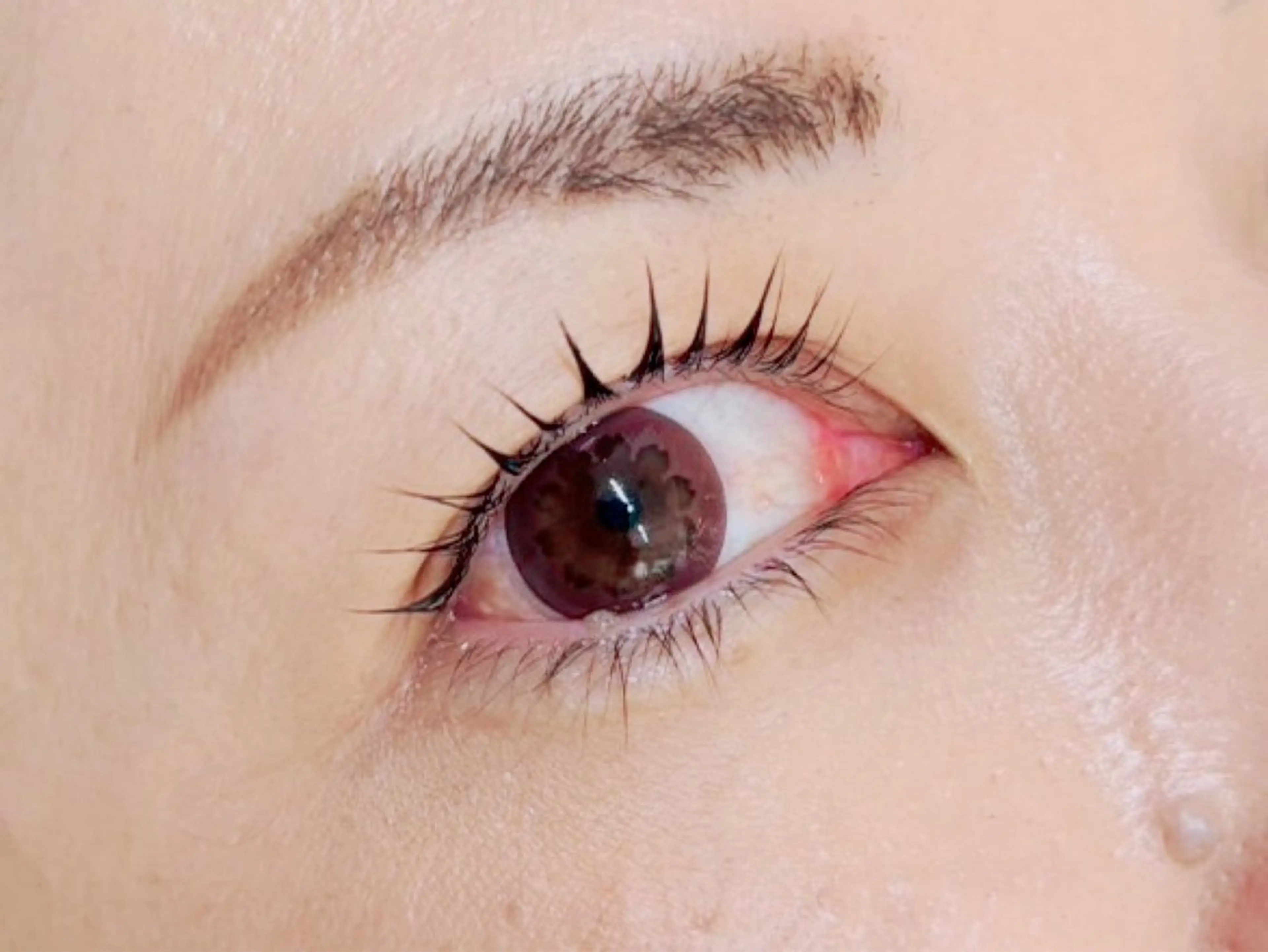 マツエク・マツパ TERRA MAYUのマツエク・マツパデザイン