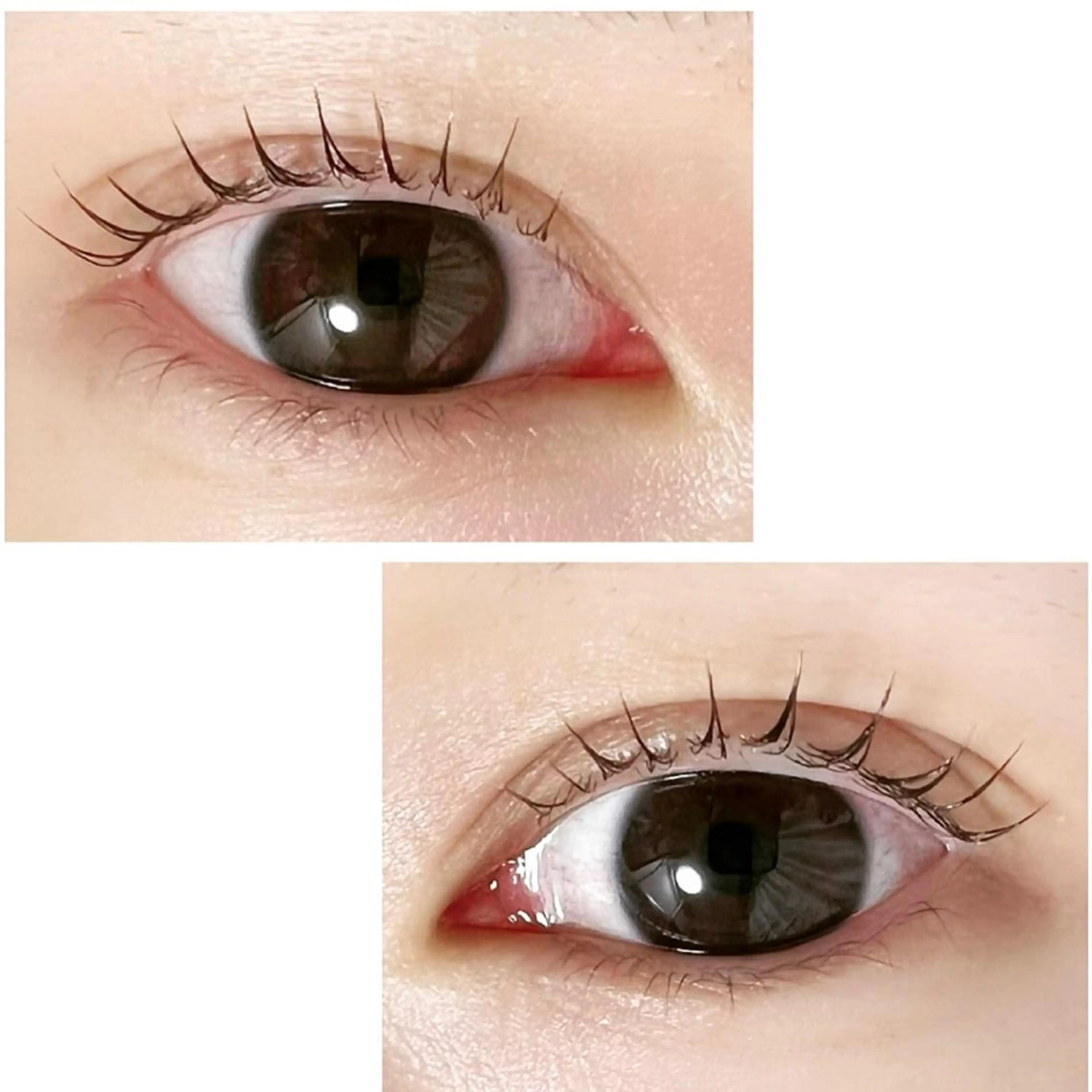 マツエク・マツパ Adorer 🍀アドレ🍀のマツエク・マツパデザイン