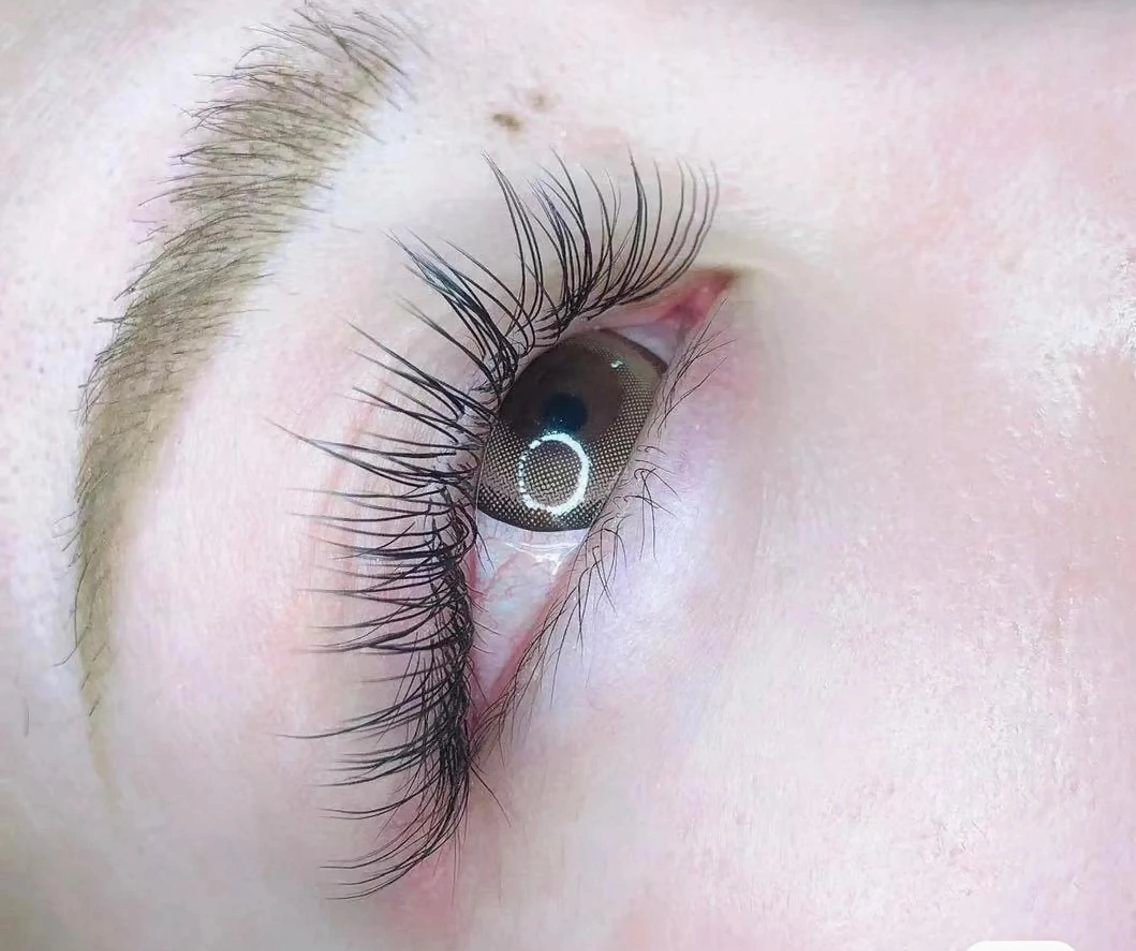 💕 （新規のみ）高級フラットラッシュ100本  アイパック+コーティング付き※土日祝日は+500円の写真