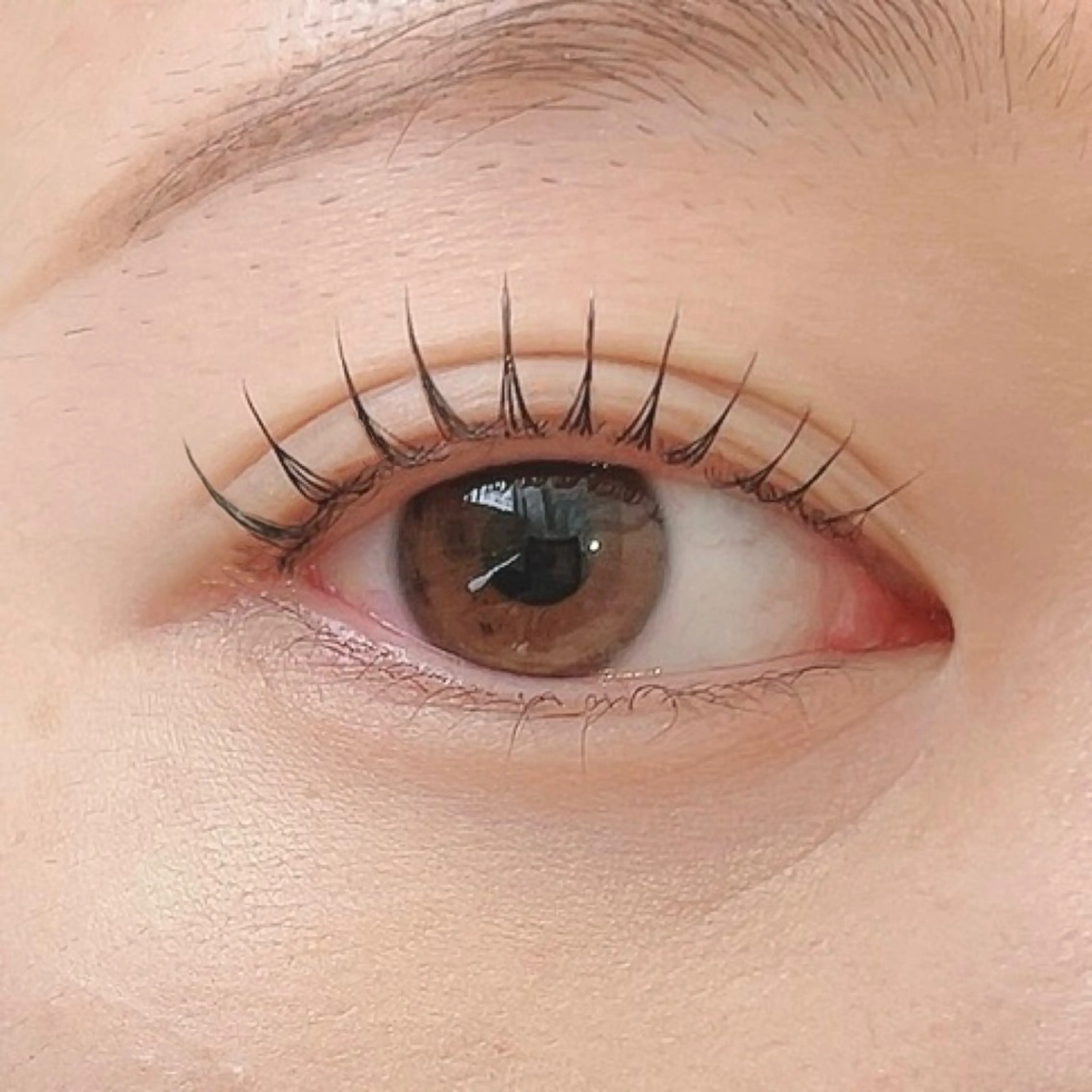 マツエク・マツパ マツパ nouvell セキモユウカ🦄のマツエク・マツパデザイン