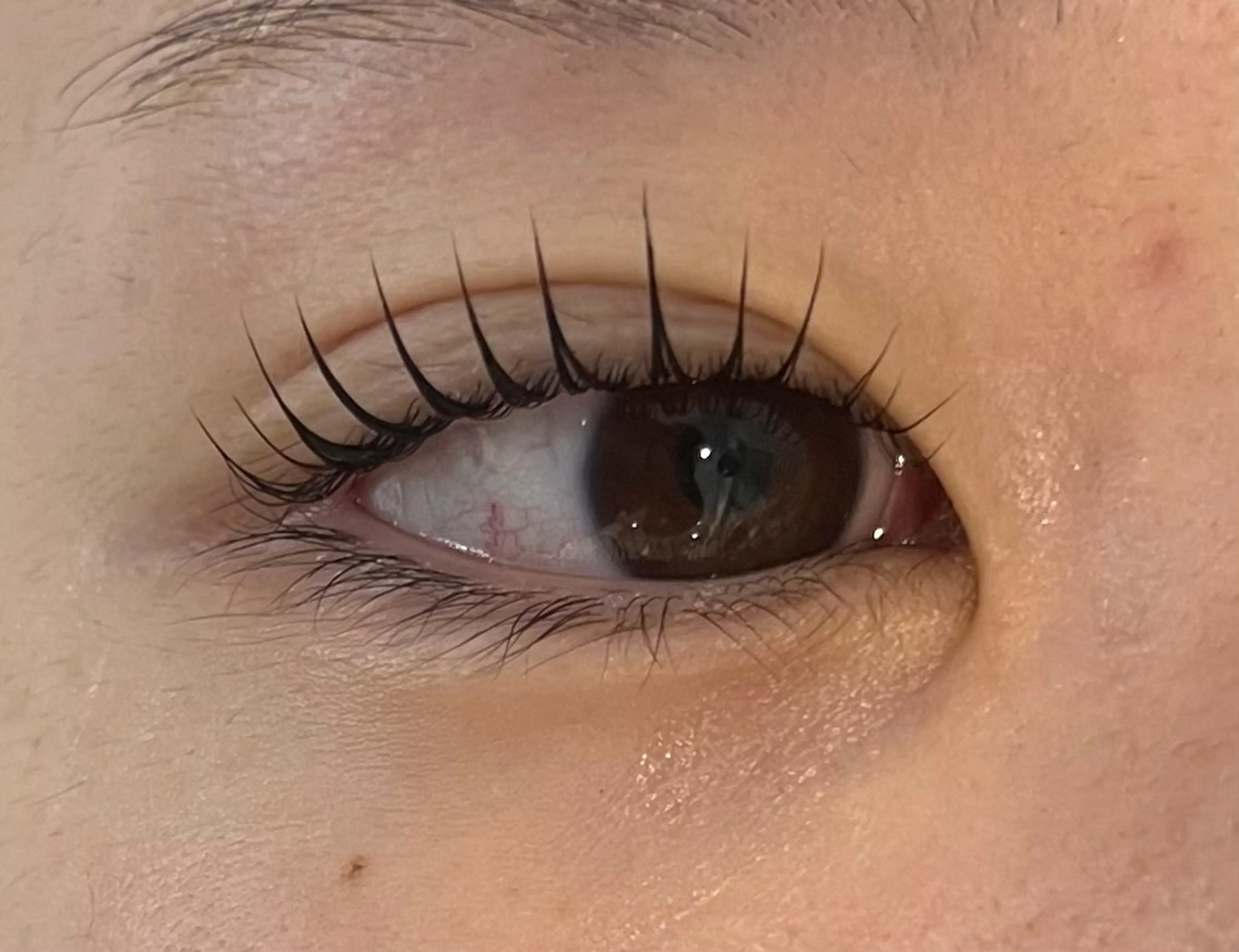 マツエク・マツパ パリジェンヌラッシュリフト 【マリーテレジア】 TAKITAのマツエク・マツパデザイン