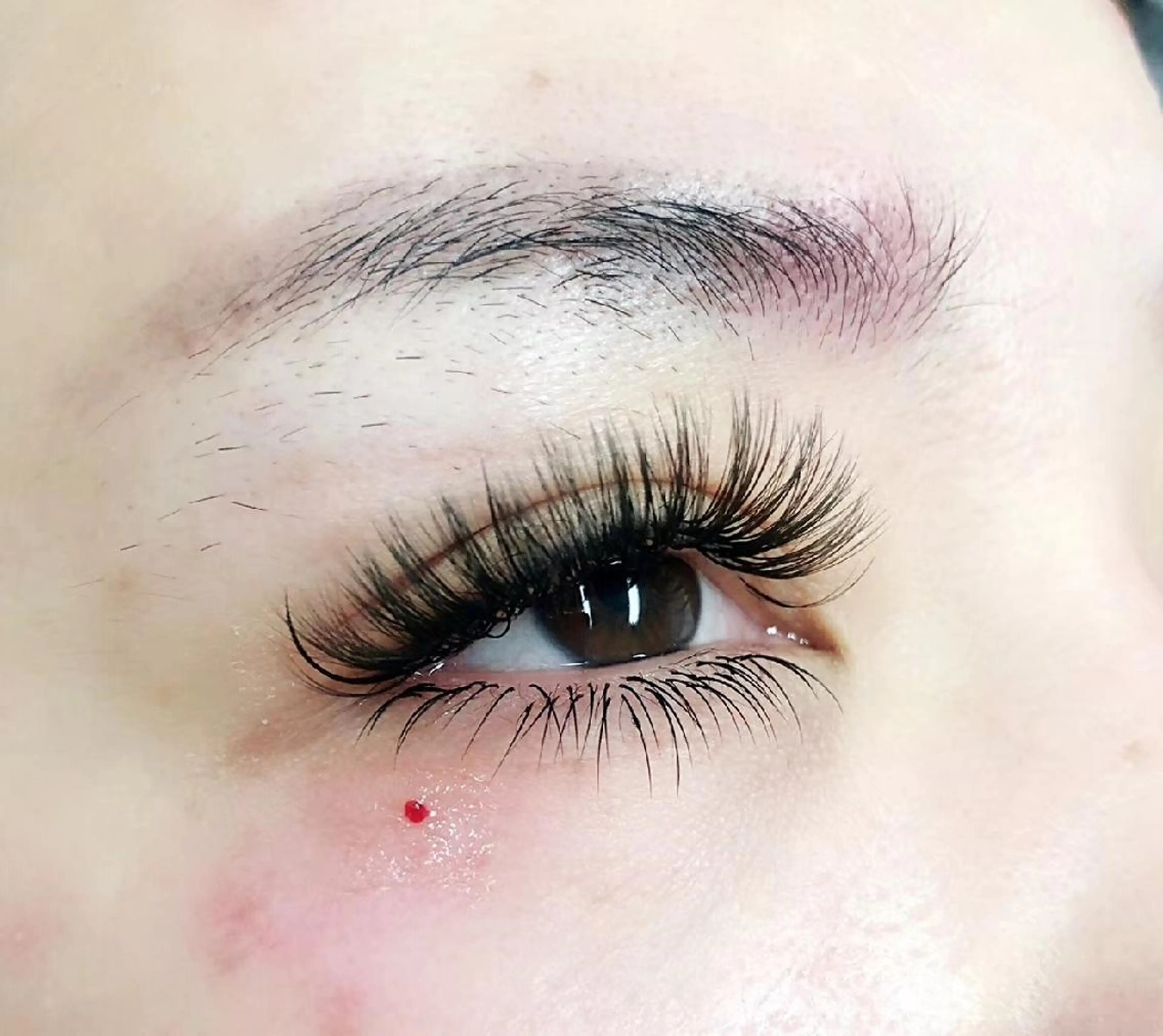 下睫毛30本の写真