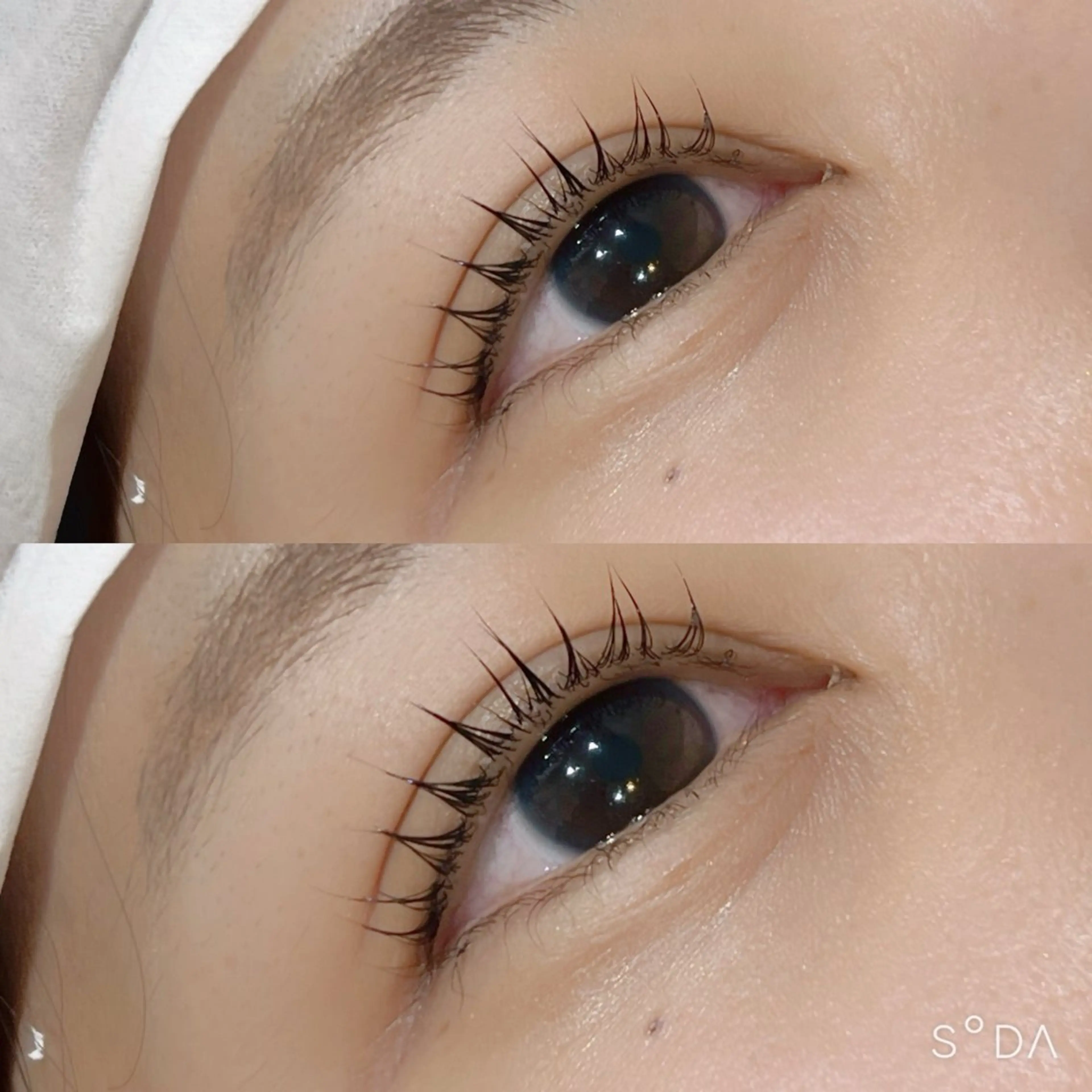 マツエク・マツパ パリジェンヌラッシュリフト EYELA 池袋 なかだ まゆのマツエク・マツパデザイン