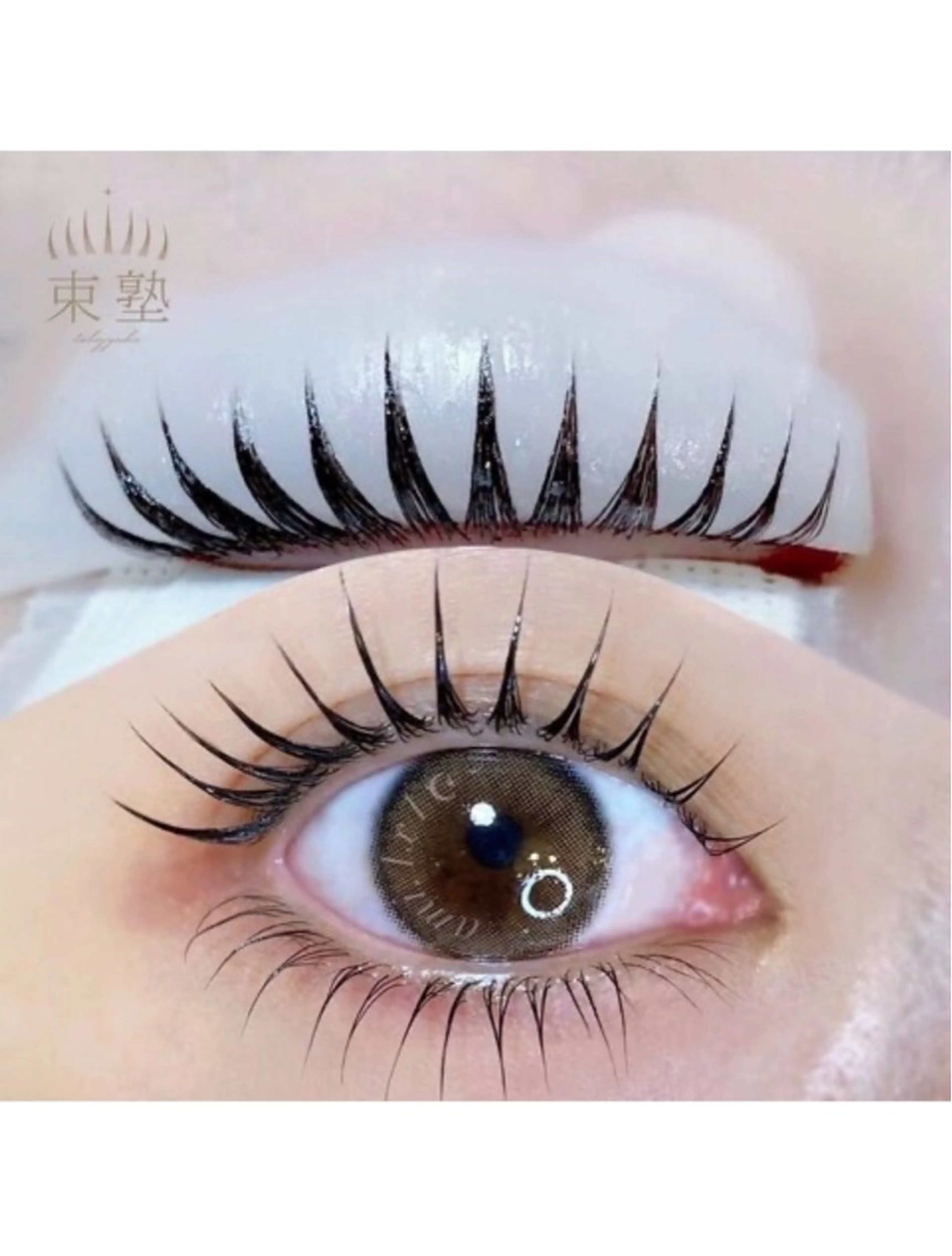 【旭川初導入⭐️】韓国束感が簡単に作れるクラウンラッシュリフト🎶の写真