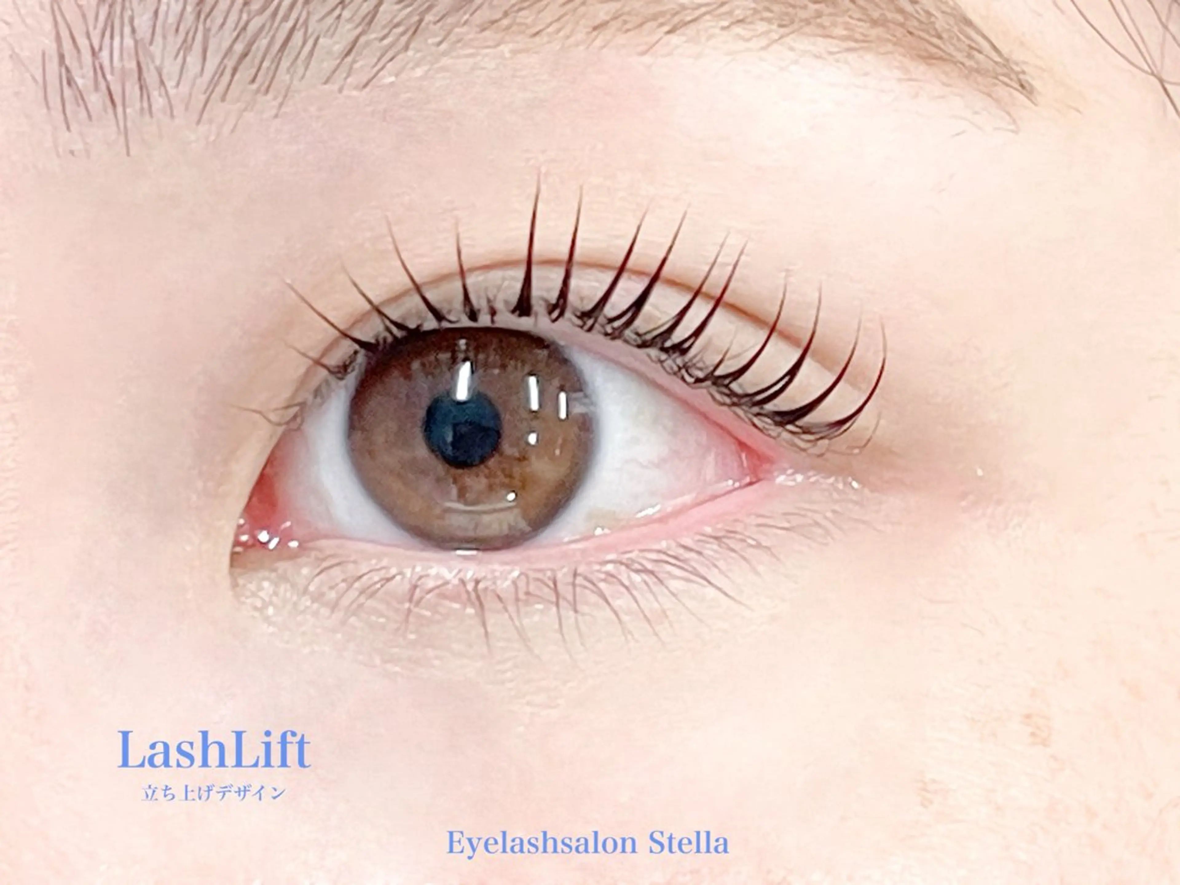 マツエク・マツパ LUCIA Mayaのマツエク・マツパデザイン