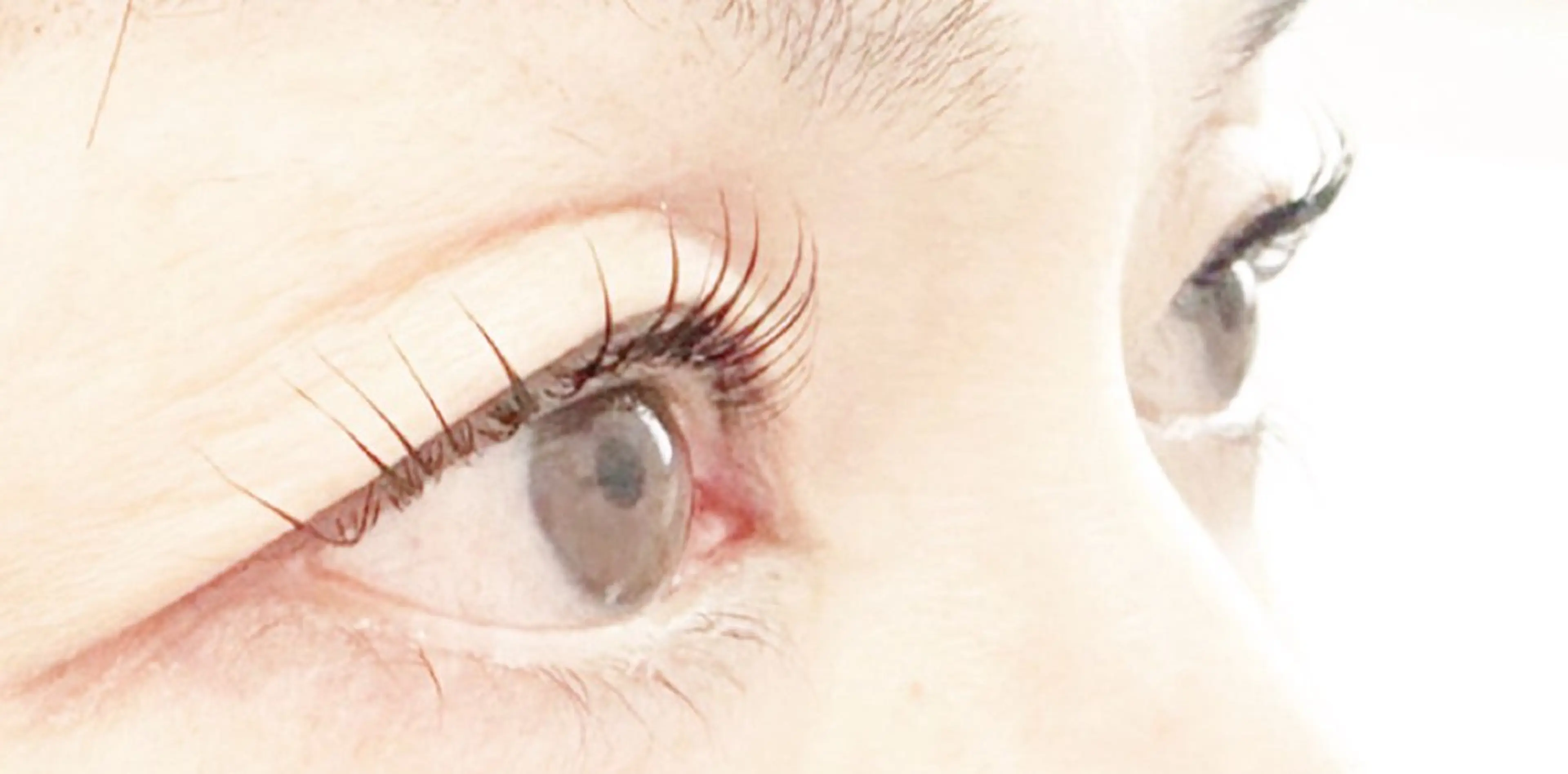 初回限定！ラッシュリフトお試し価格☆の写真