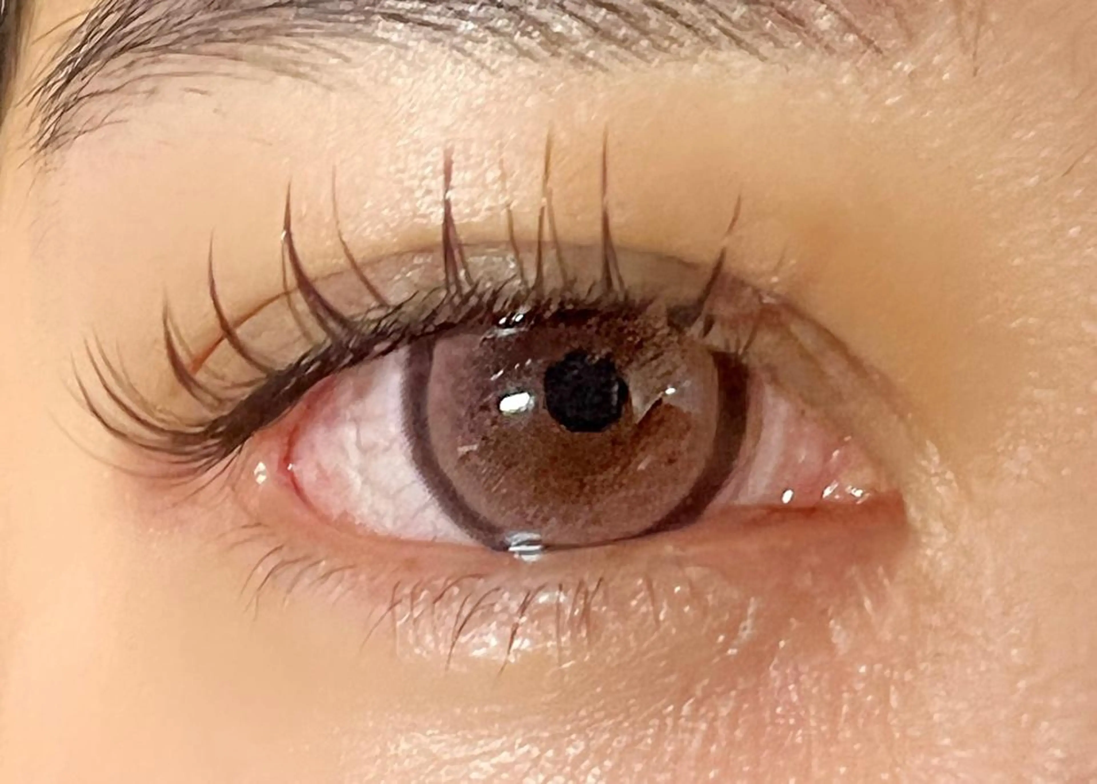 マツエク・マツパ カラーマツエク マツエク 🧸Celeste Venusのマツエク・マツパデザイン