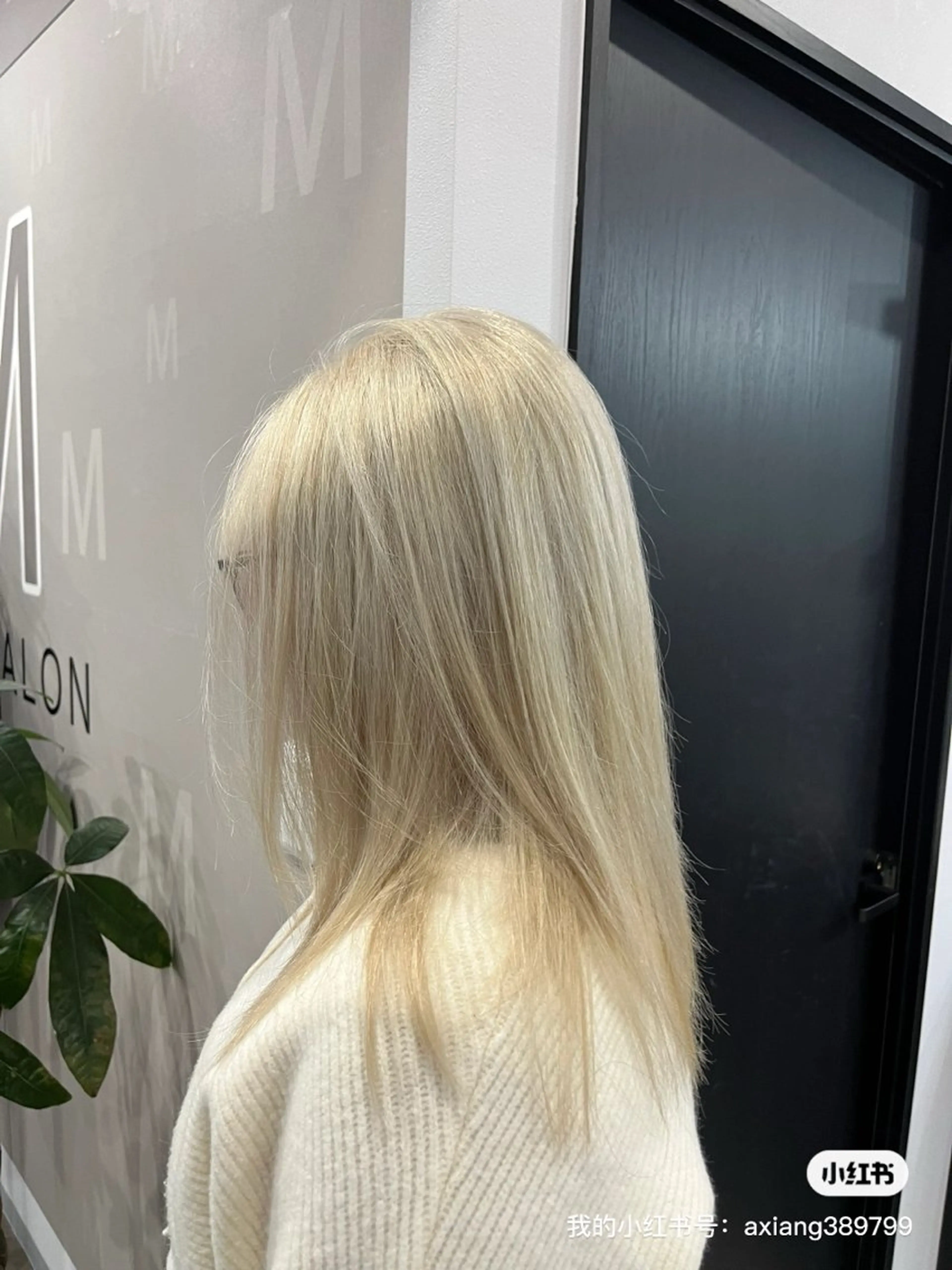 カラー D· dreamのヘアスタイル