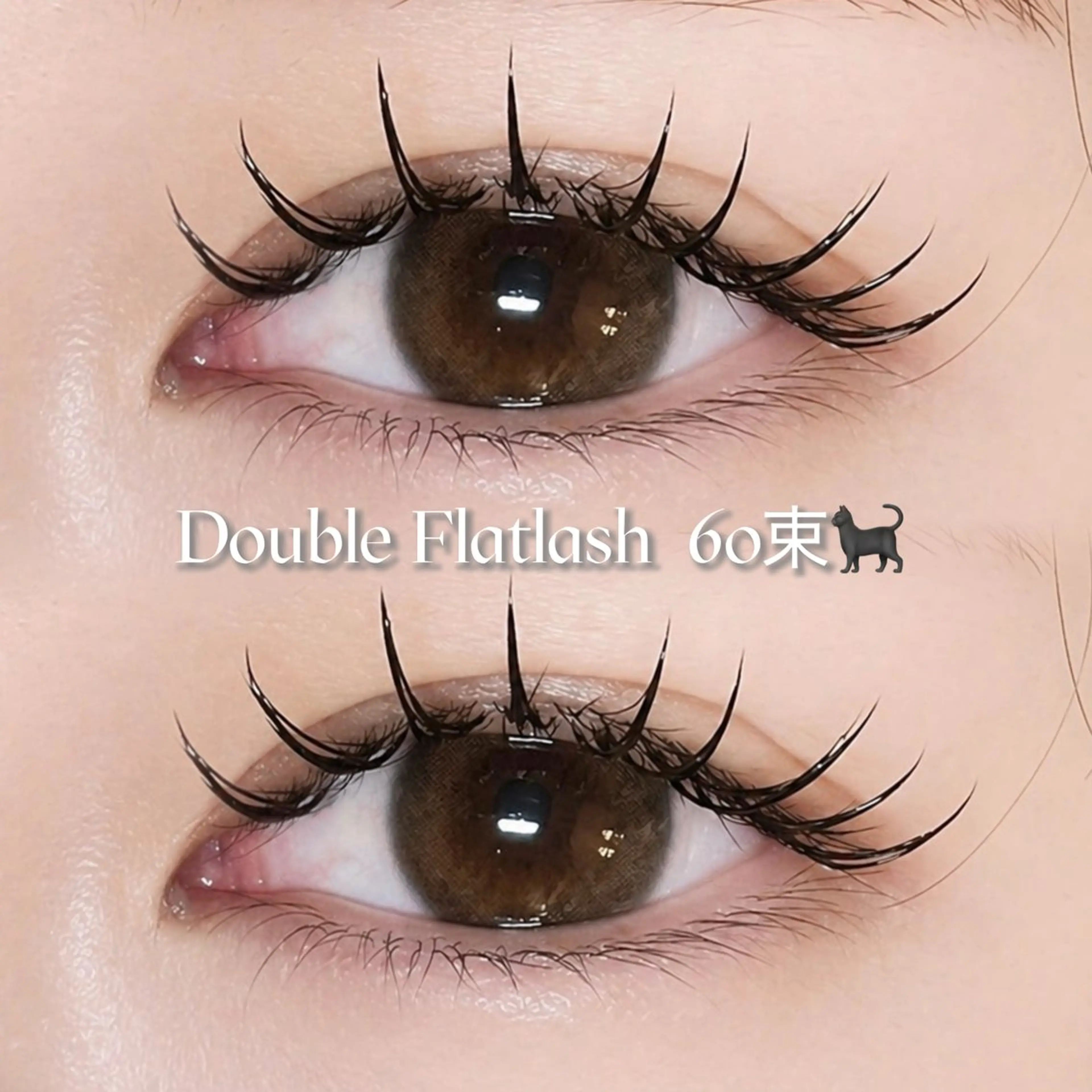 【新規限定クーポン✨️】バインドロックorダブルフラット60束​〜​⋆⸜🎀⸝‍⋆(本数により値段変動)の写真