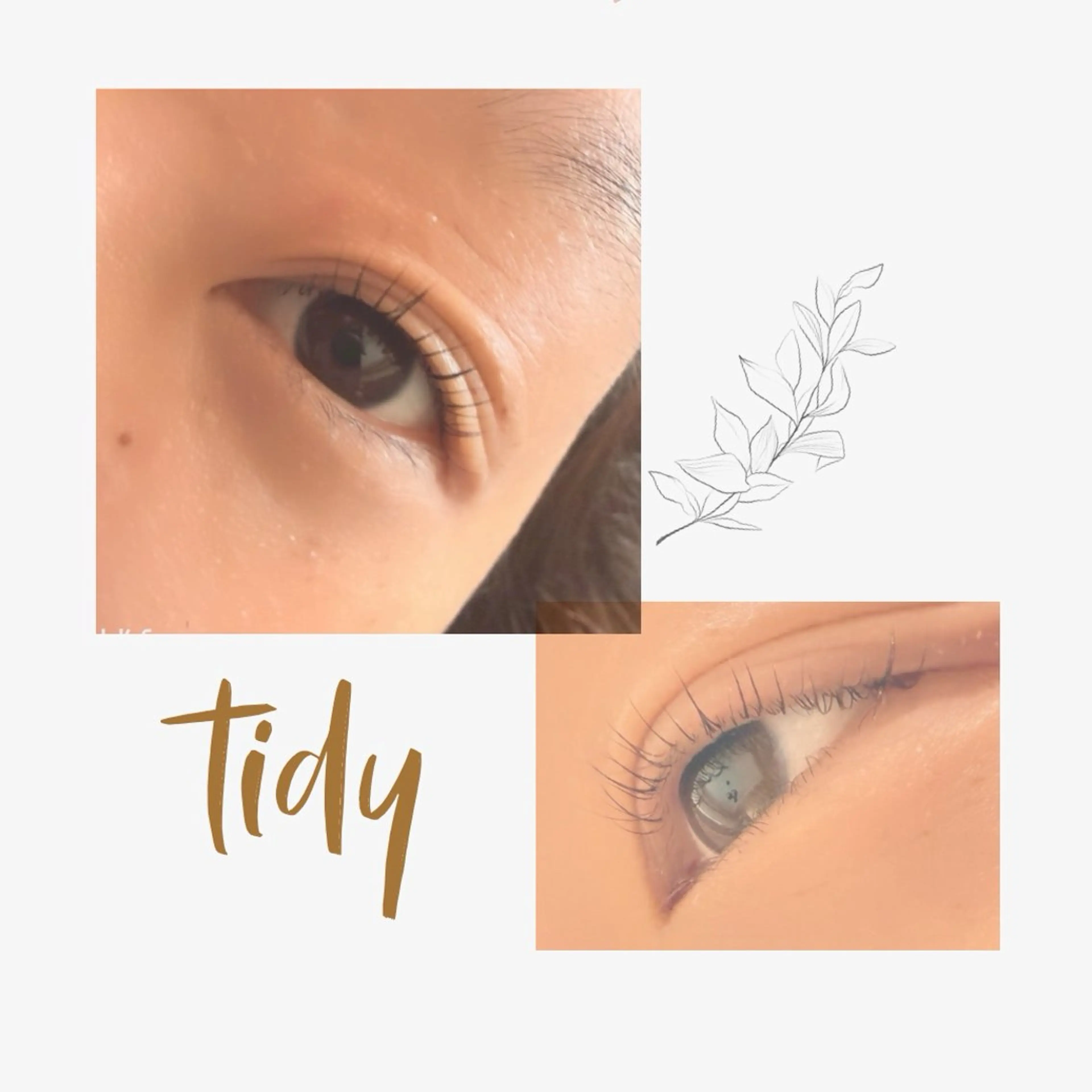 マツエク・マツパ マツパ tidy🪽🫧 eyelash🩵のマツエク・マツパデザイン