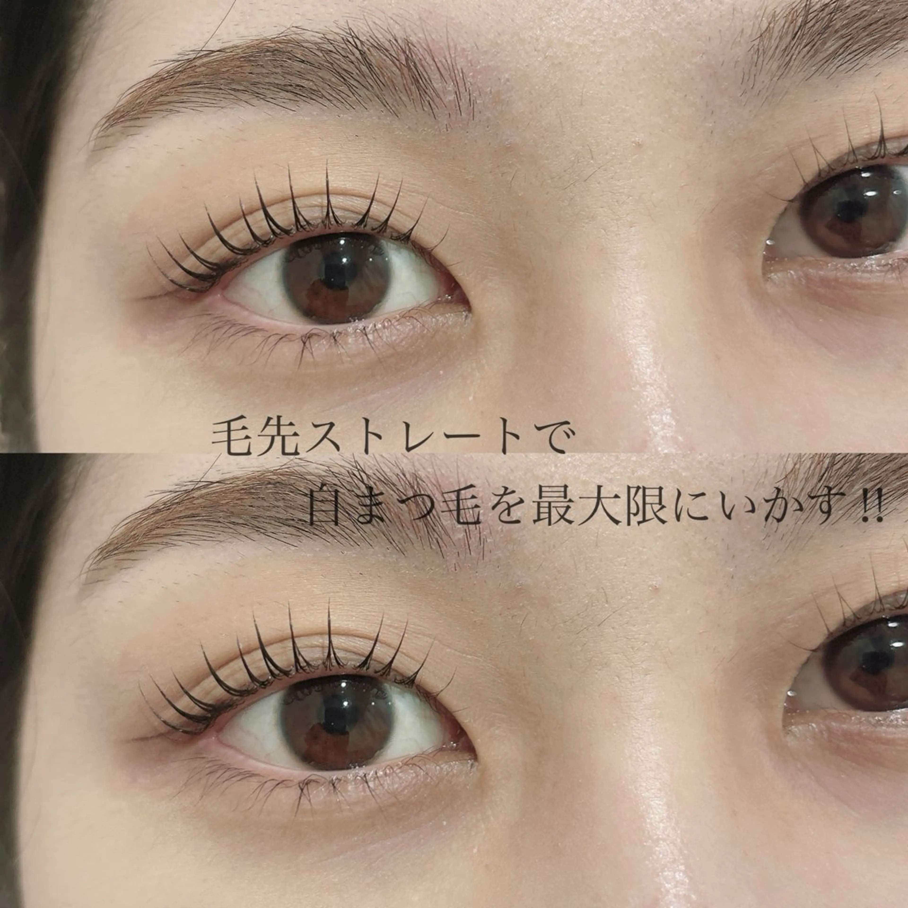 マツエク・マツパ パリジェンヌラッシュリフト SEALA 高石の眉毛・アイブロウイメージ