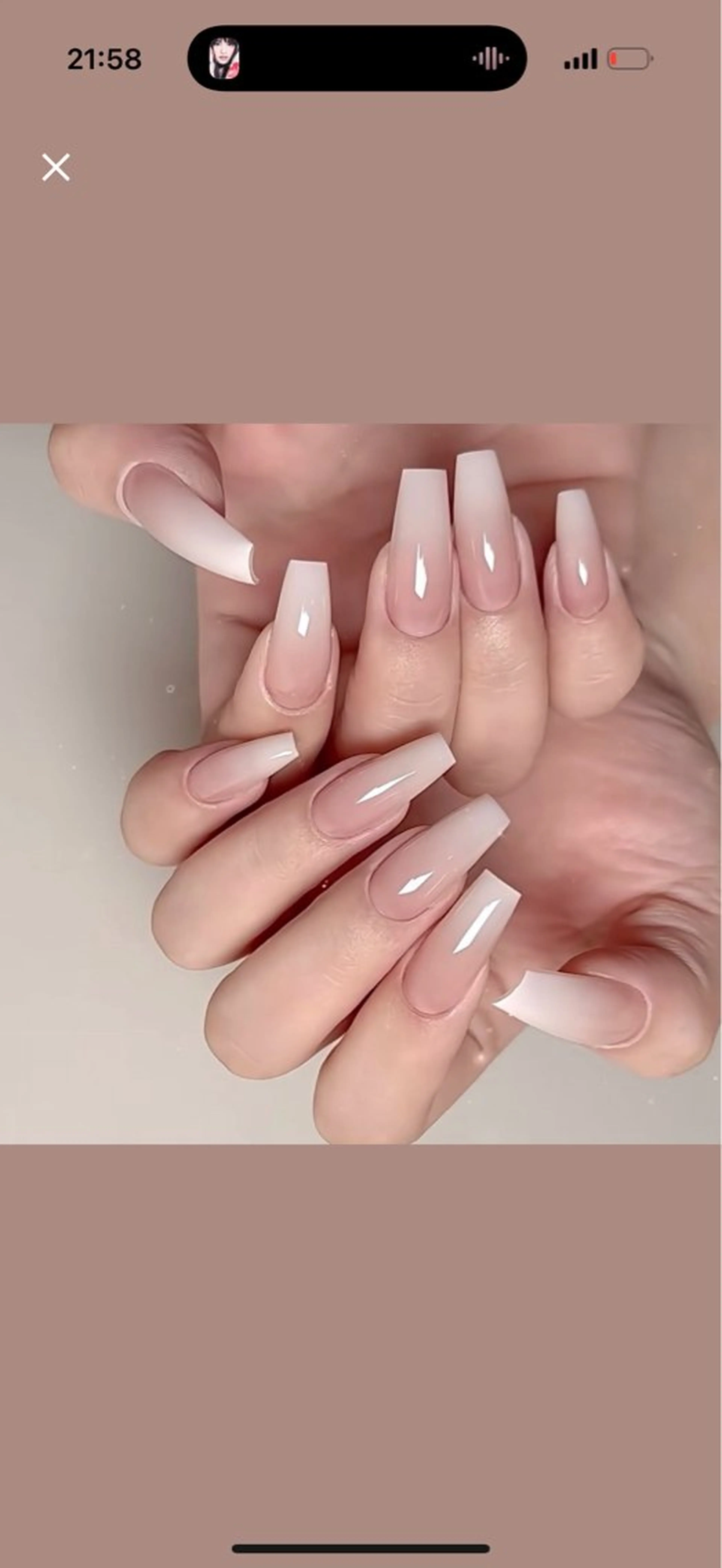 ネイル 胡蝶蘭レディースサロ ンNailMOKAのネイルデザイン