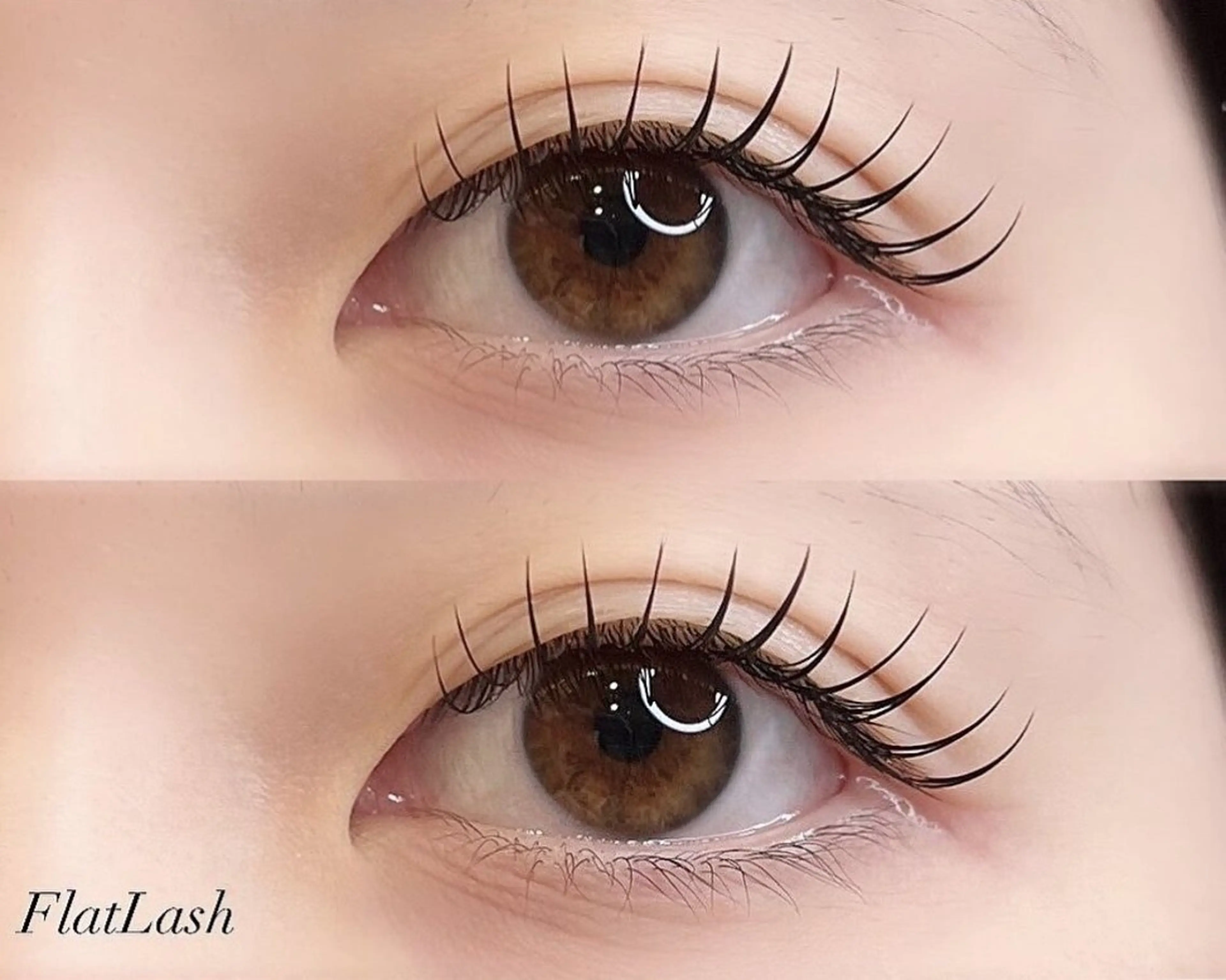 🌼マツエク フラットマットラッシュ 120本まで🌼の写真