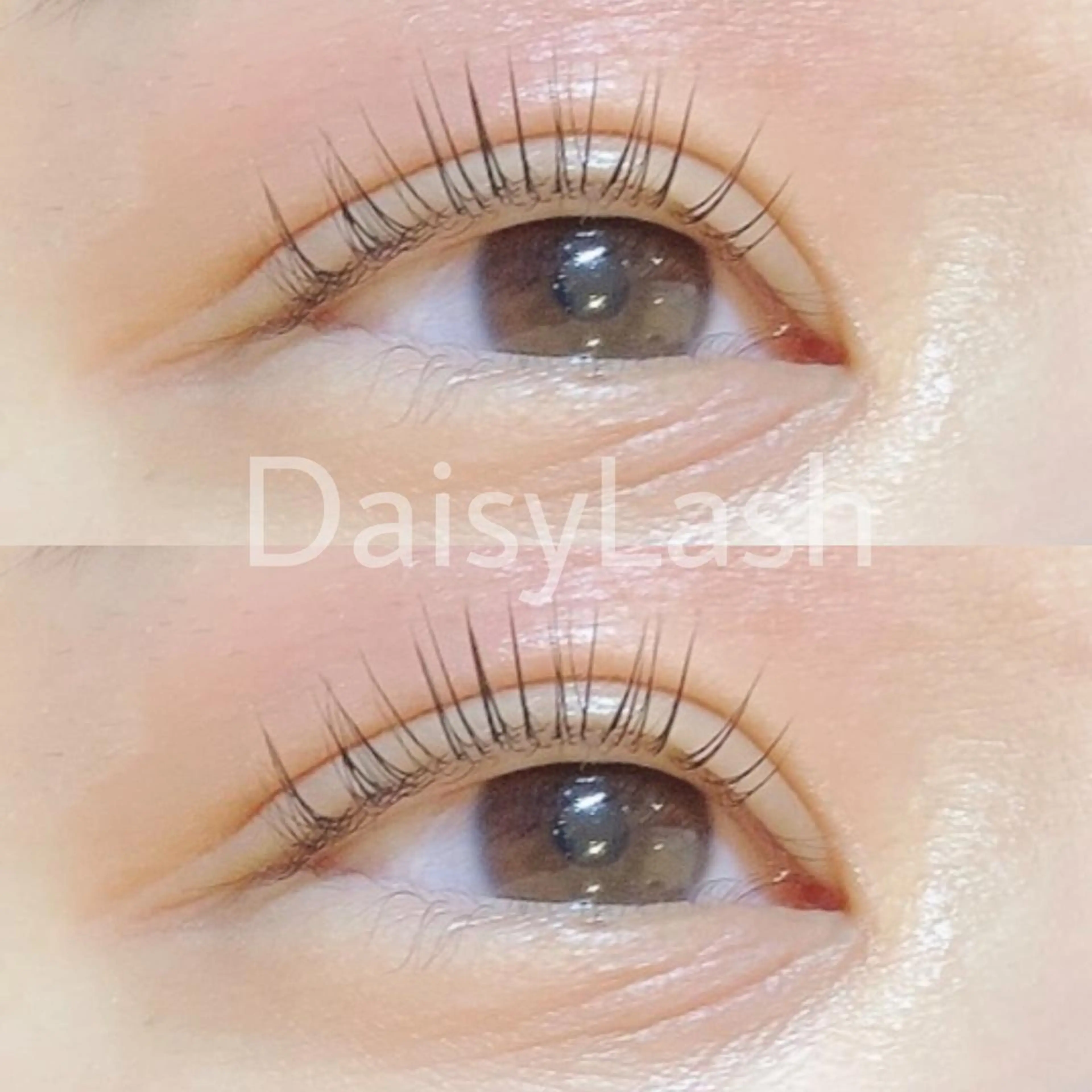 マツエク・マツパ DaisyLash 京橋店のマツエク・マツパデザイン