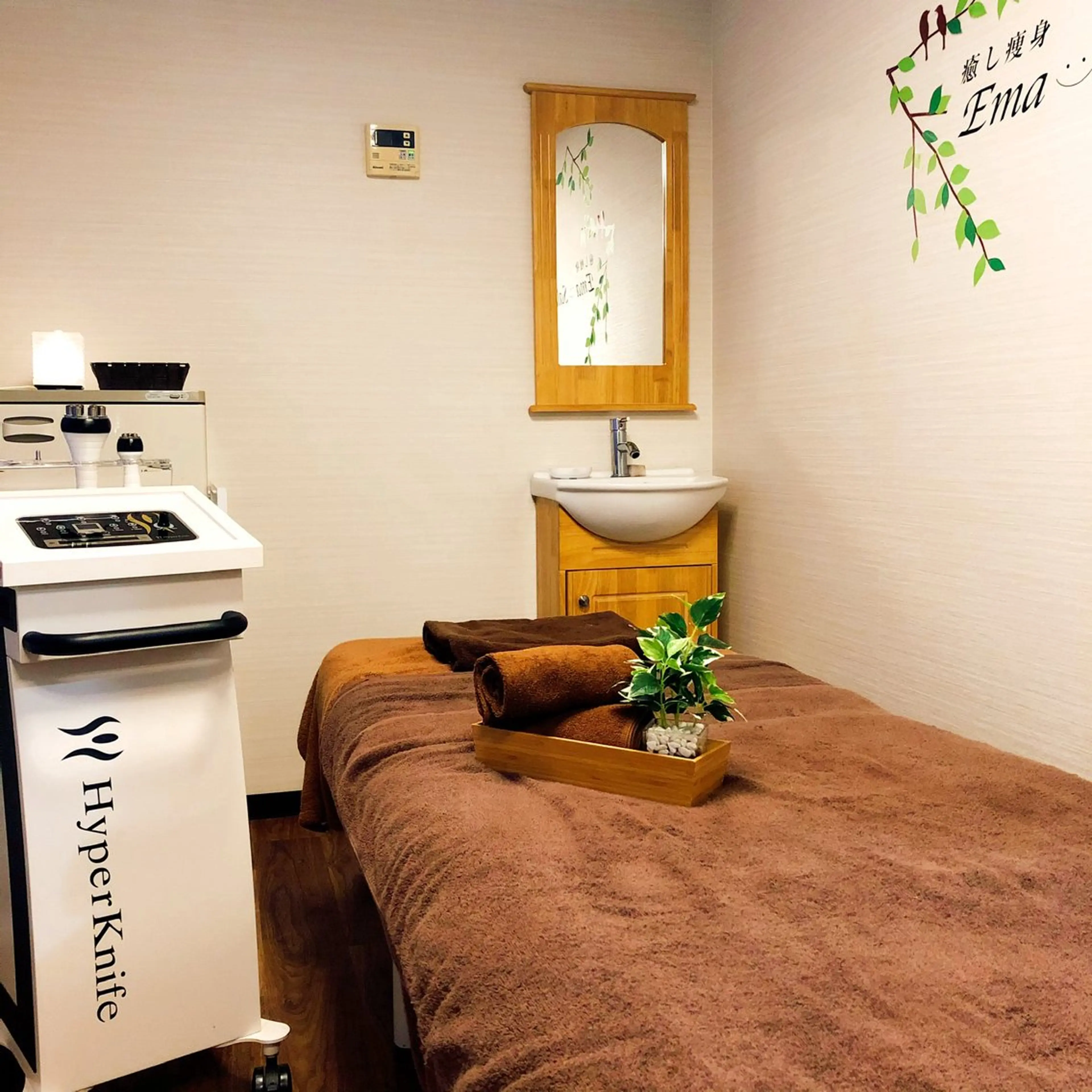 Ema salon satomiのネイルデザイン