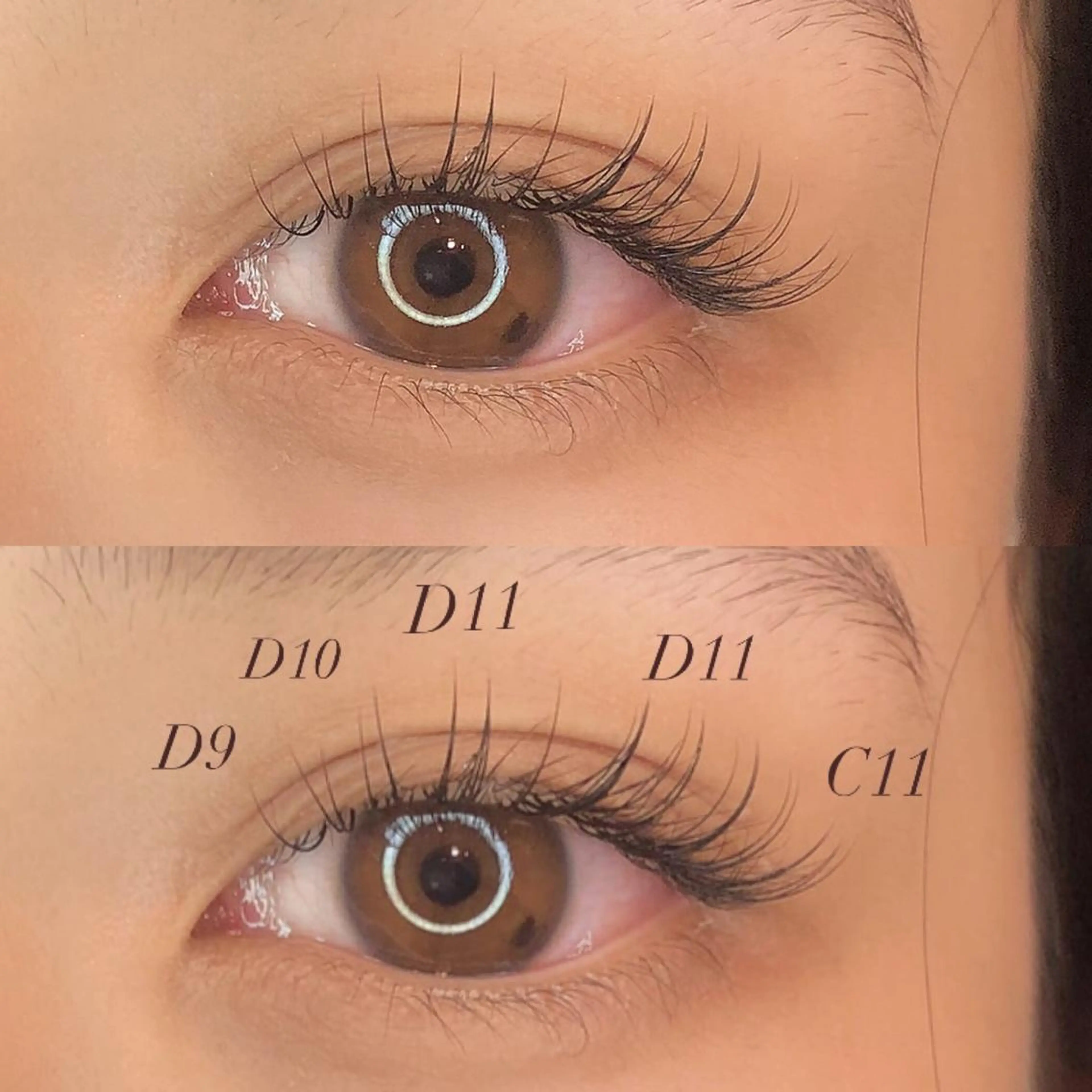 マツエク・マツパ Cカール カラーマツエク Jカール セーブル アップワードラッシュ . mikuのマツエク・マツパデザイン