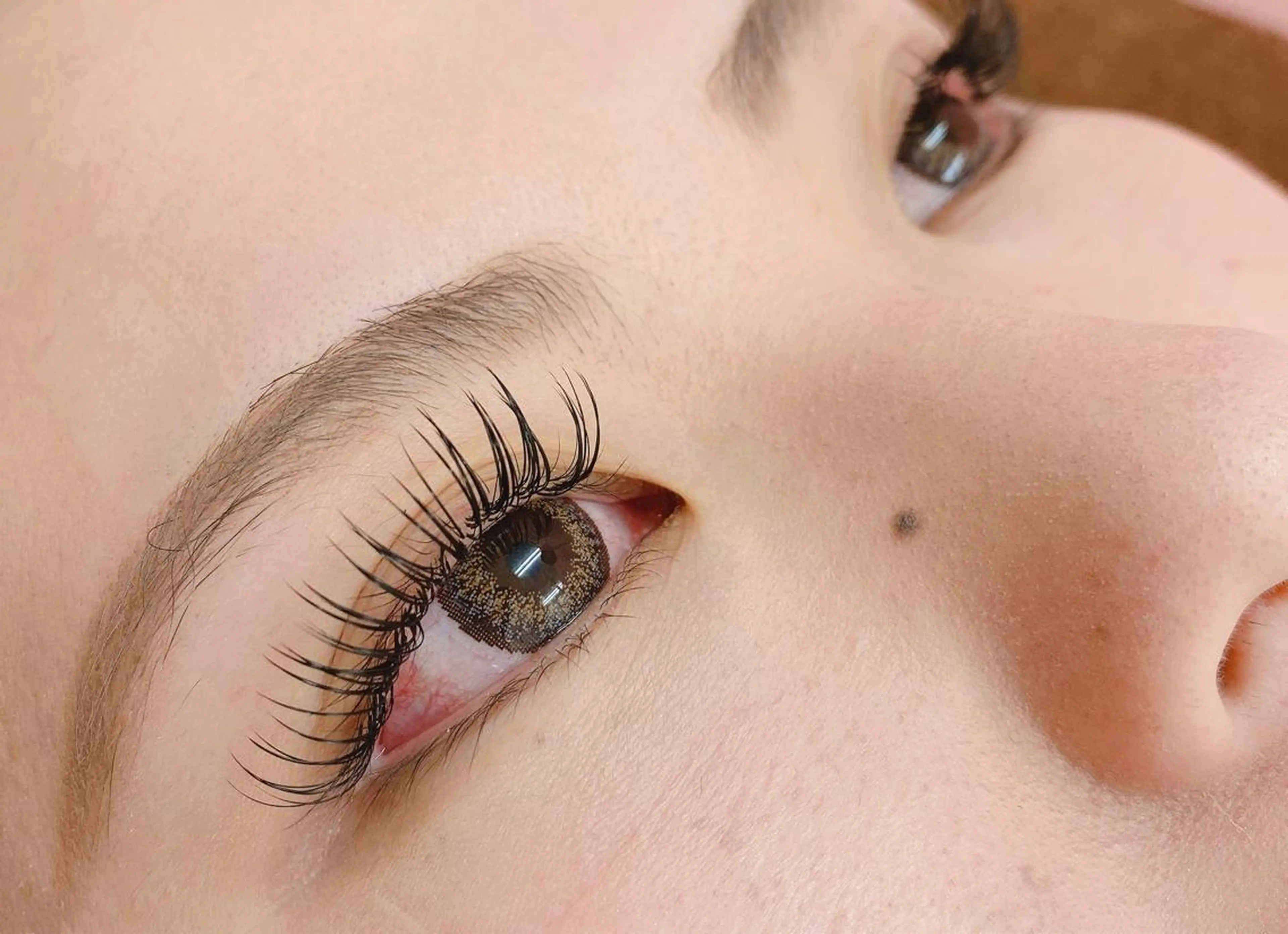 【オフ込】フラットラッシュ100本🌿の写真