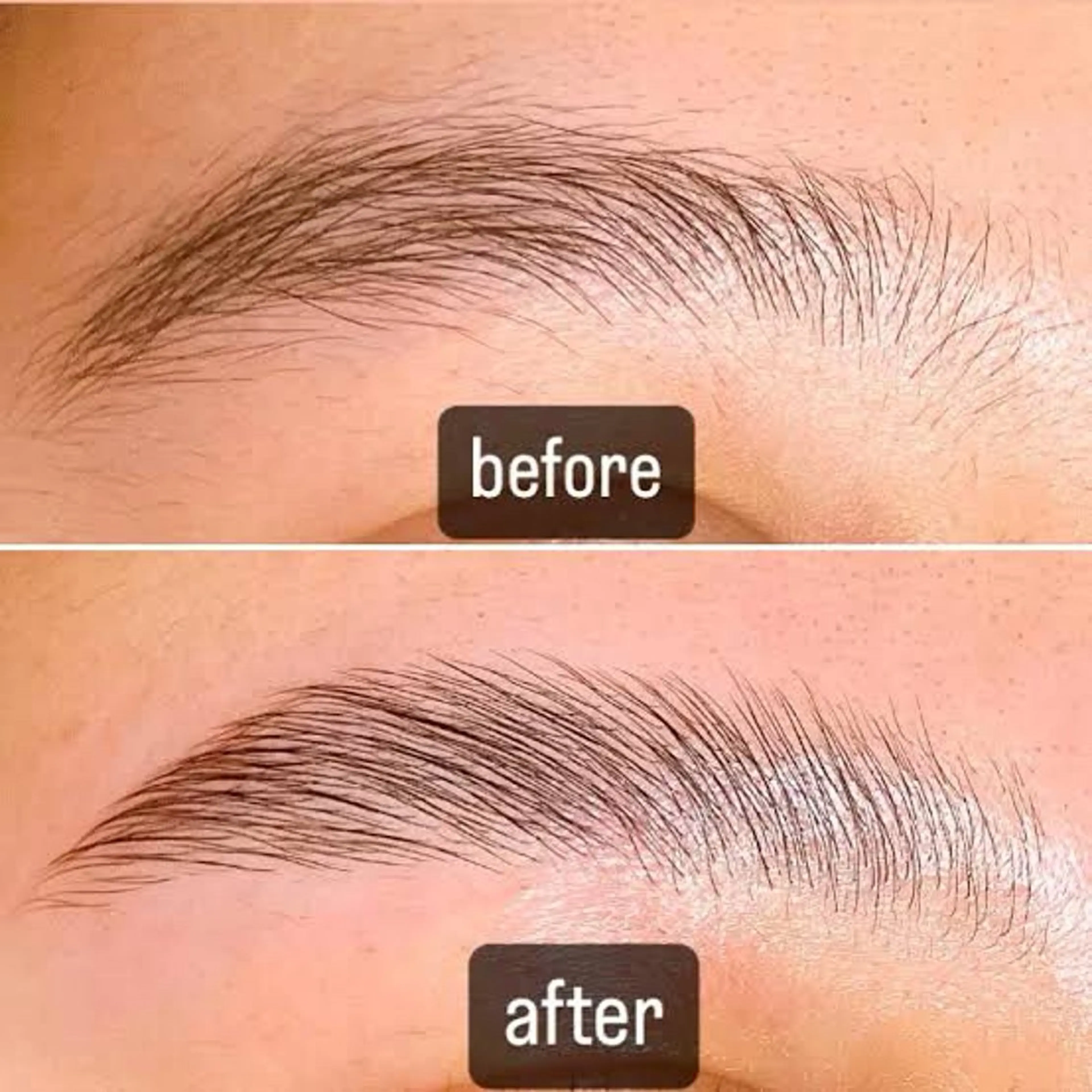 アイブロウ S Sの眉毛・アイブロウイメージ