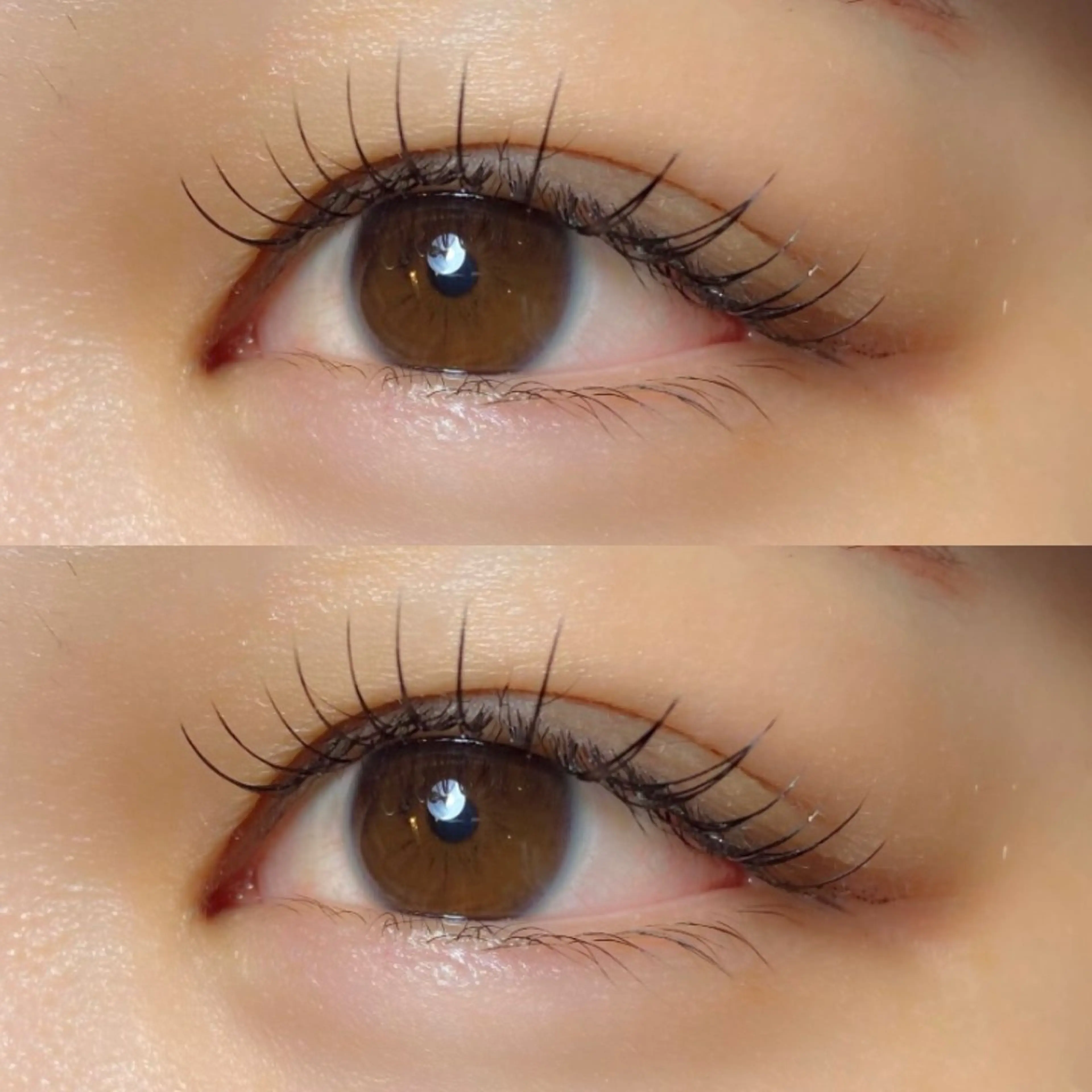 ✨️ご新規様限定✨️上80本まで+オフ、コーティング込の写真