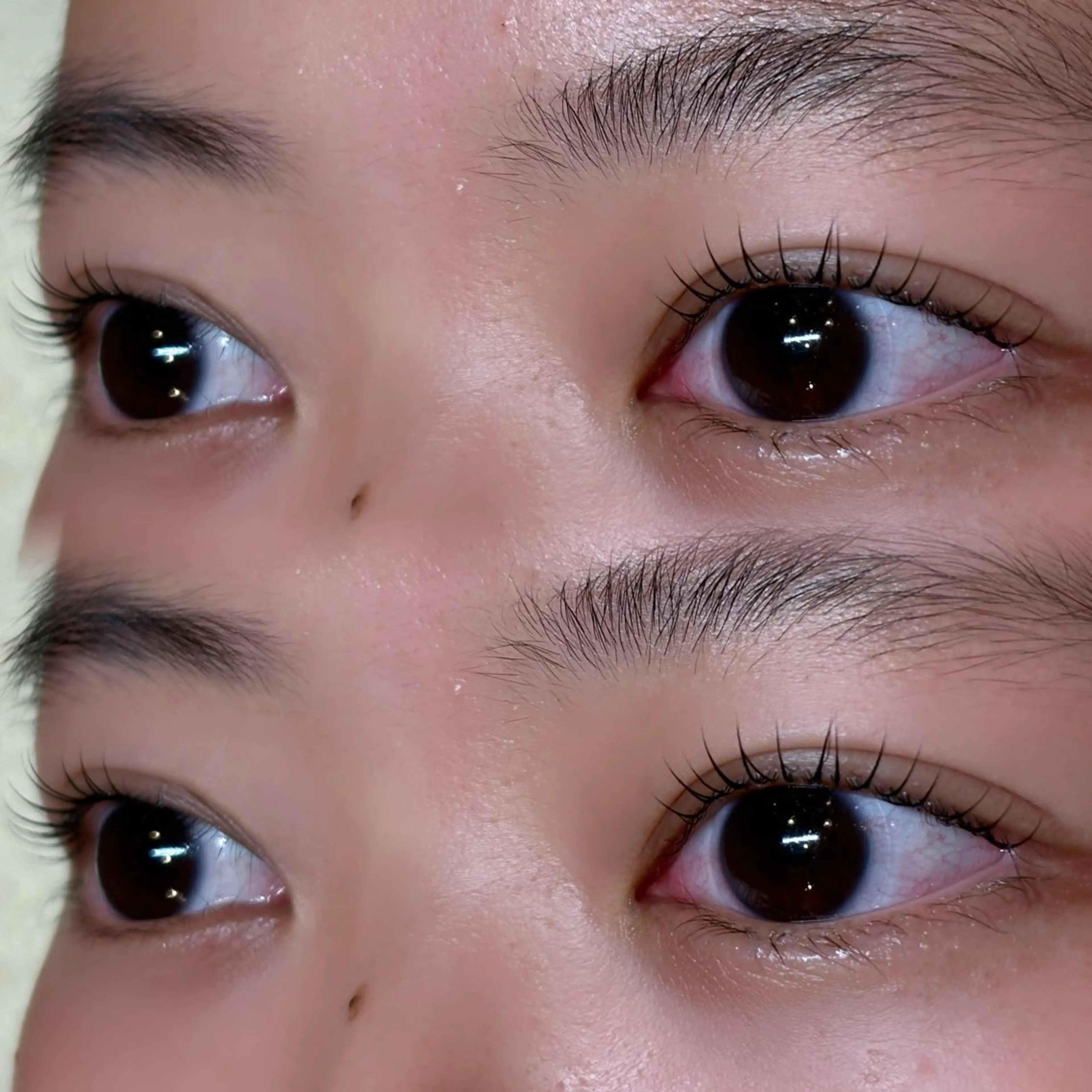 マツエク・マツパ アンドヘルシー/束感 /LED🩶MIYUのマツエク・マツパデザイン