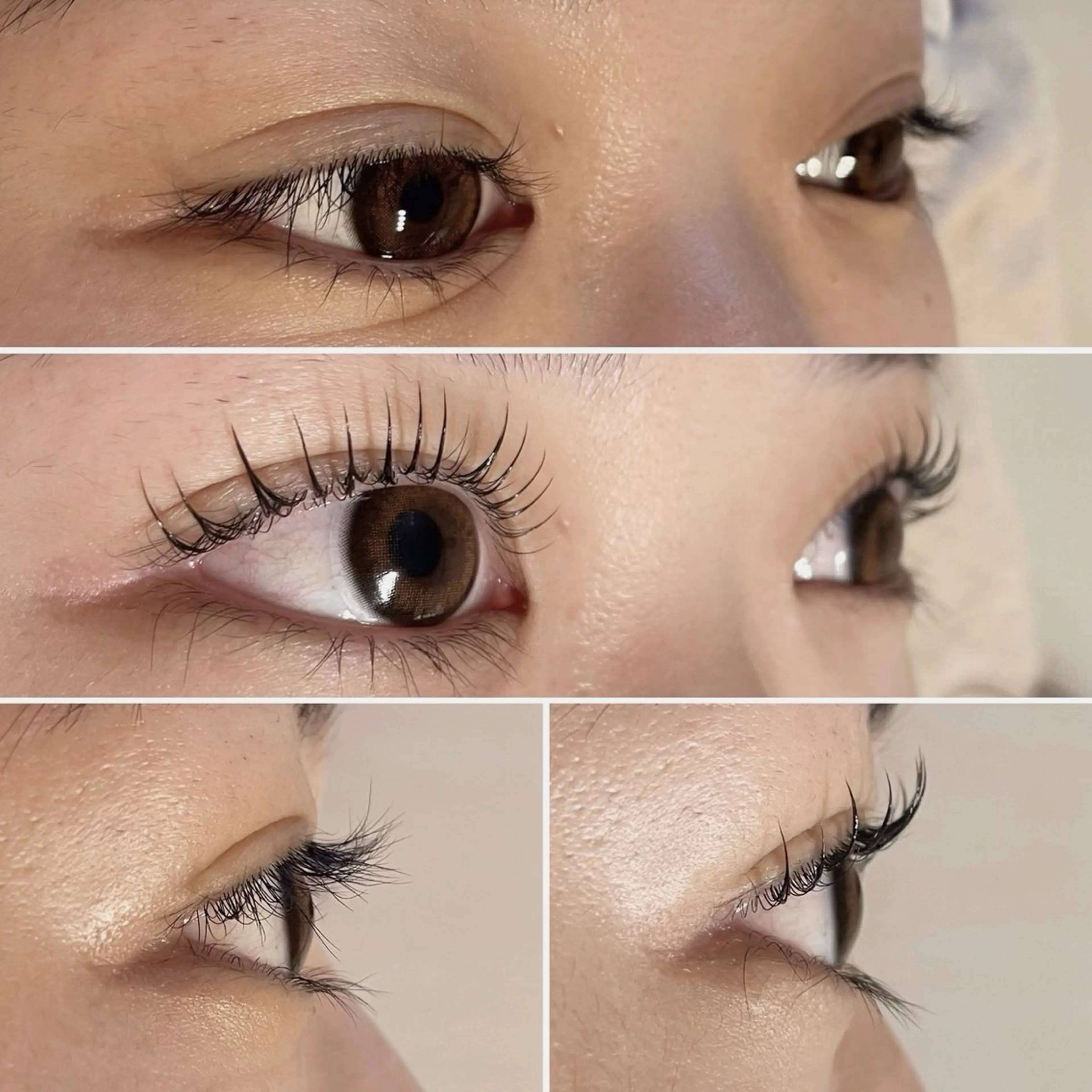 🌼次世代まつ毛カール（上）🌼の写真