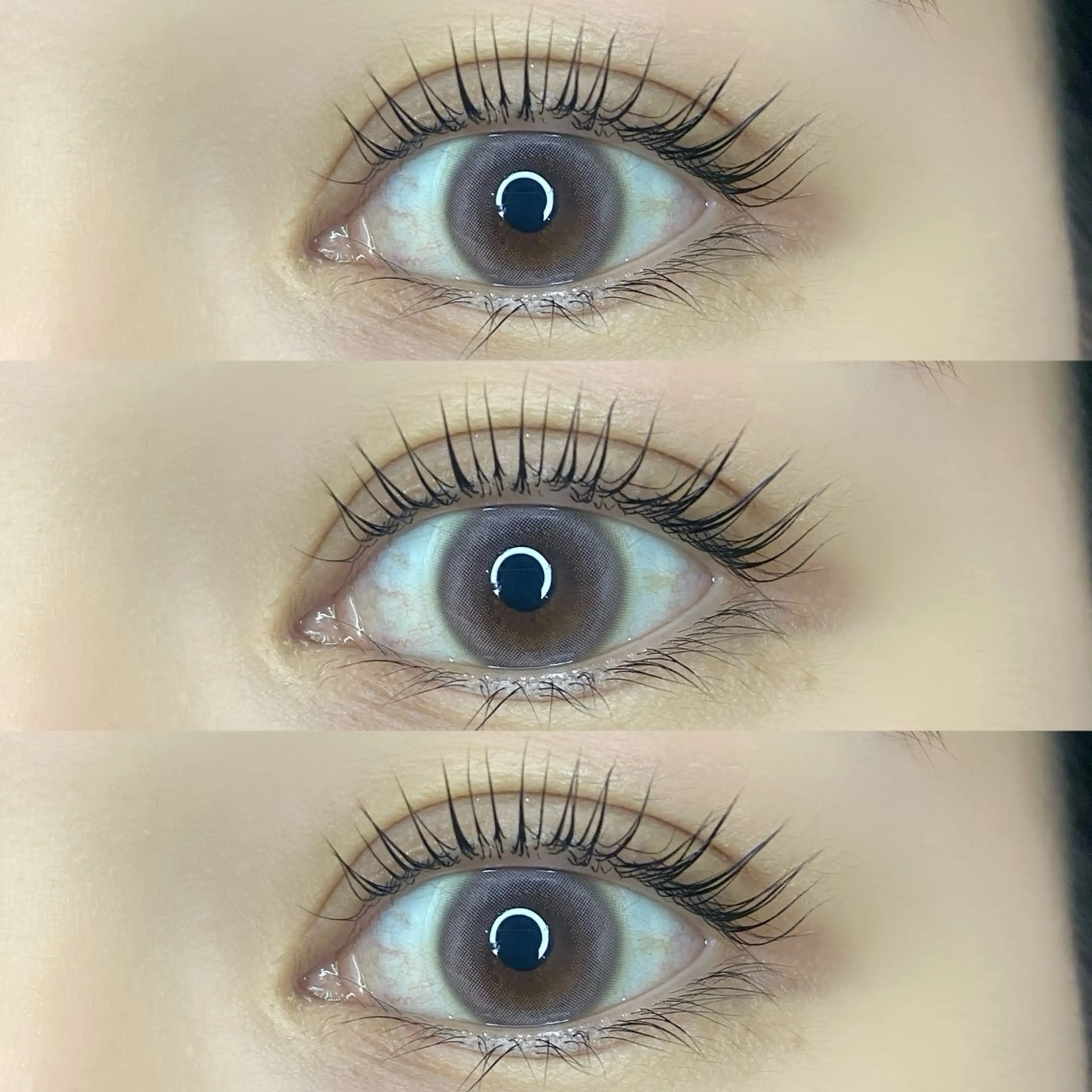 【4月限定クーポン】パリジェンヌラッシュリフト⭐️の写真