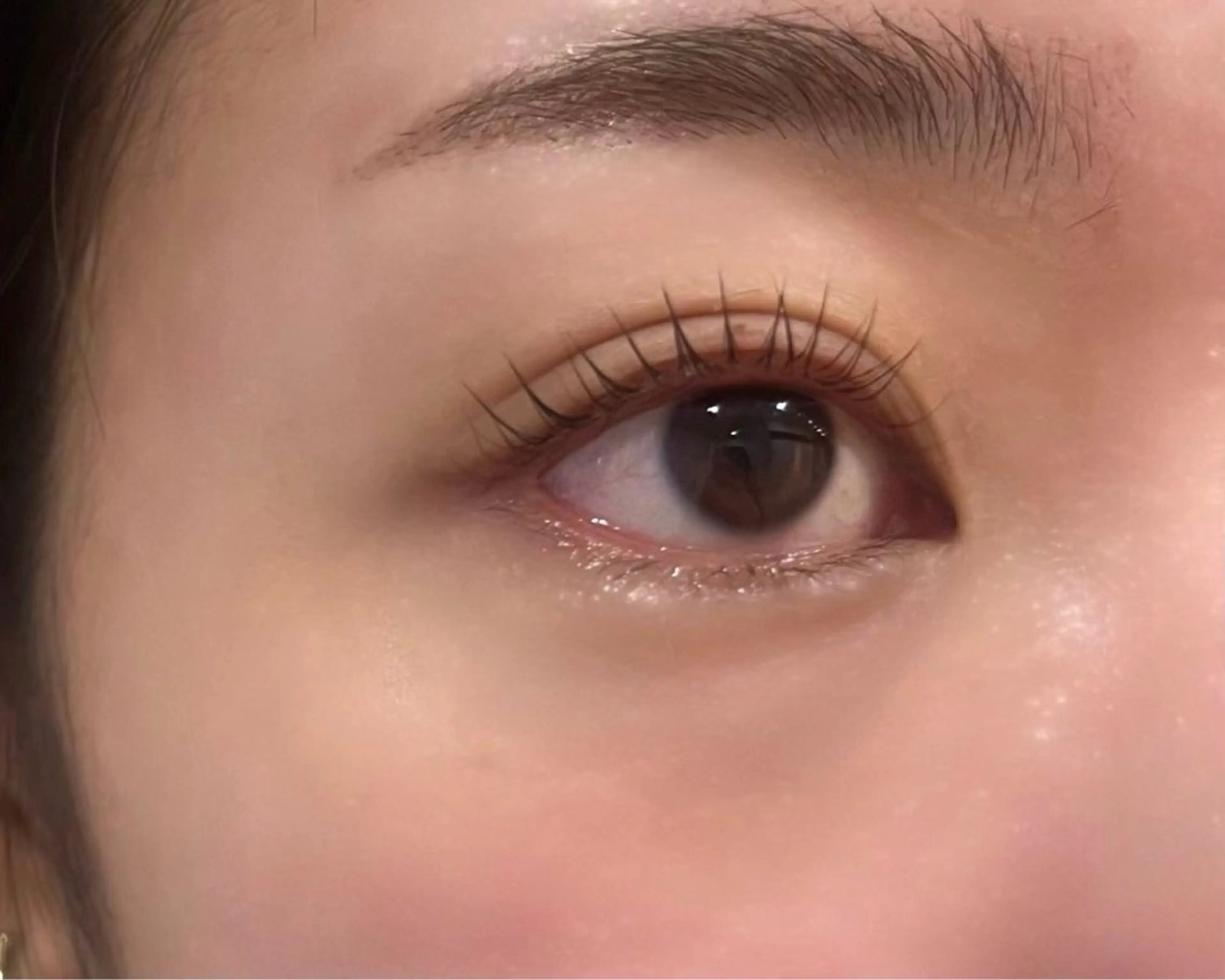 【✨期間限定✨】まつ毛コーティング付き🩶褒められまつ毛に🫶🏻土日祝日は16：00以降ご案内可能です❣️の写真