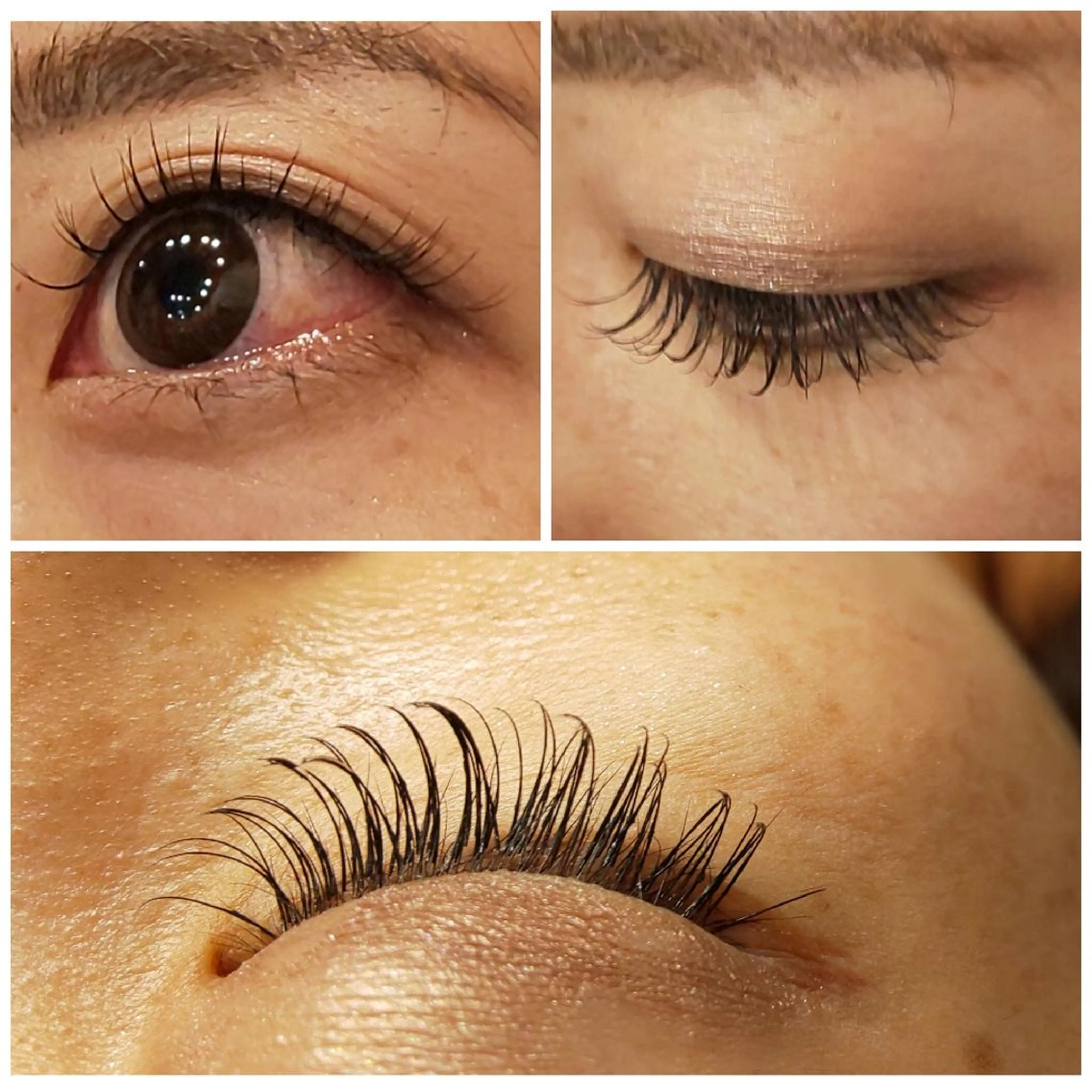 マツエク・マツパ キュート Dカール セーブル Ｖerba松戸店所属・verba バーバの眉毛・アイブロウイメージ