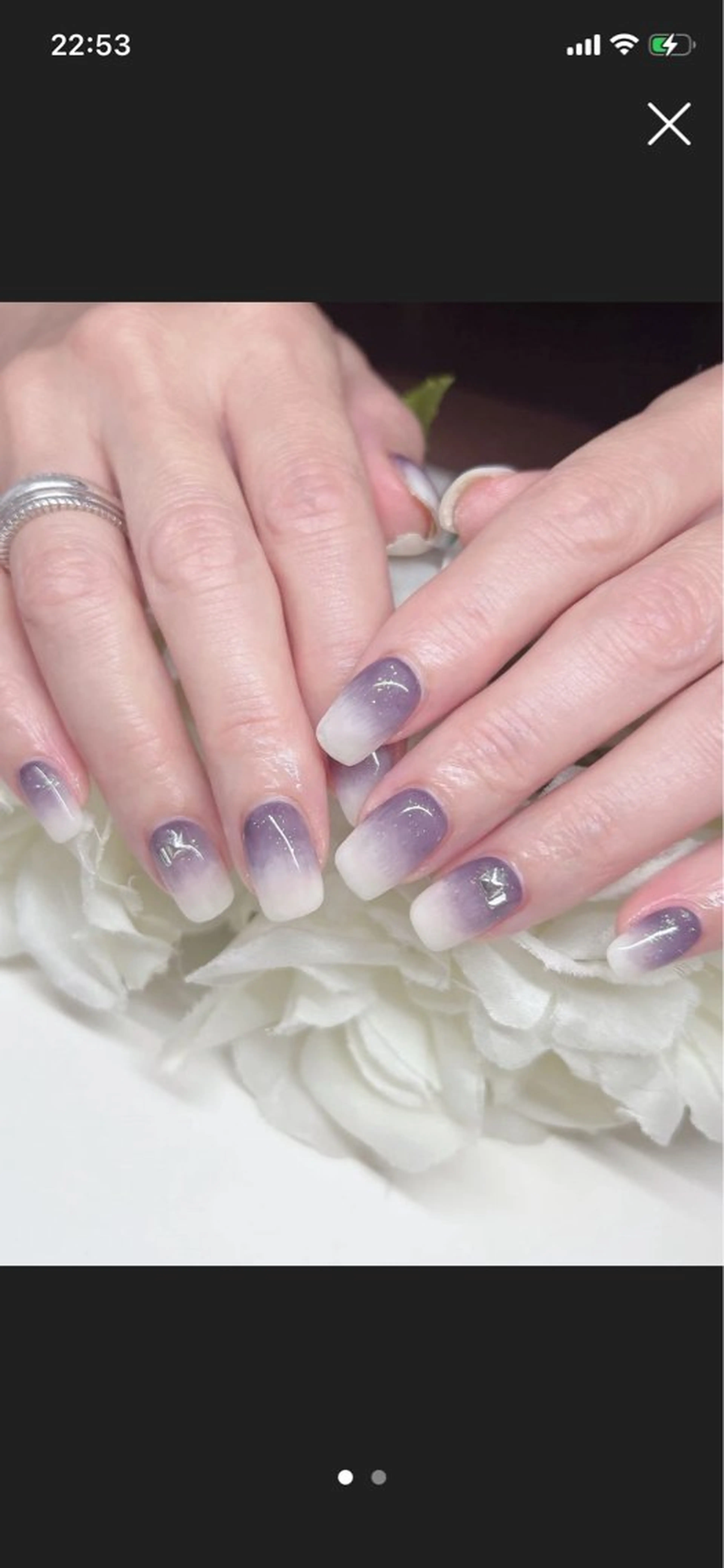 ネイル グラデーション マグネットネイル 🦋✨ MARIKO✨🦋のネイルデザイン