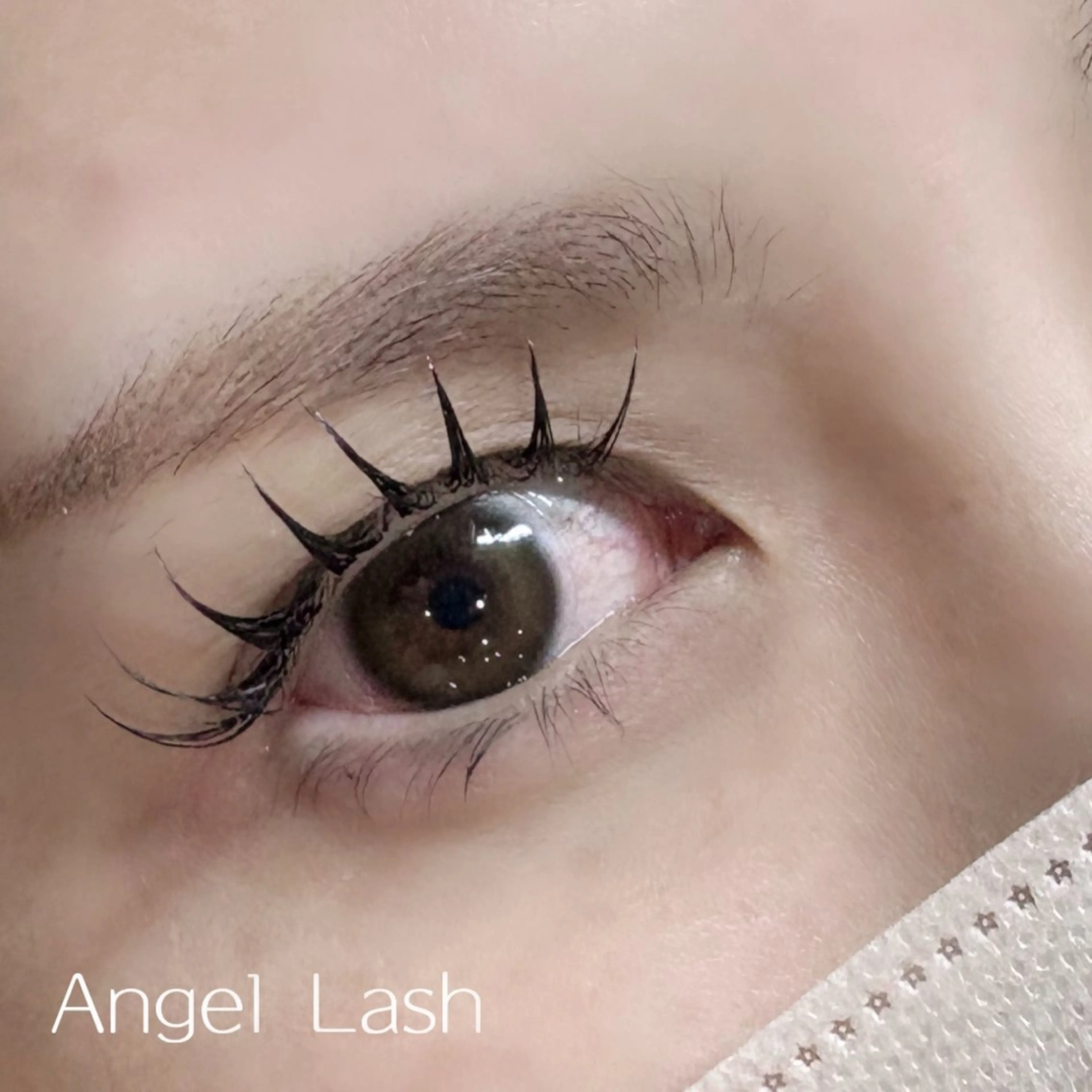 マツエク・マツパ AngleLash hayashiのマツエク・マツパデザイン