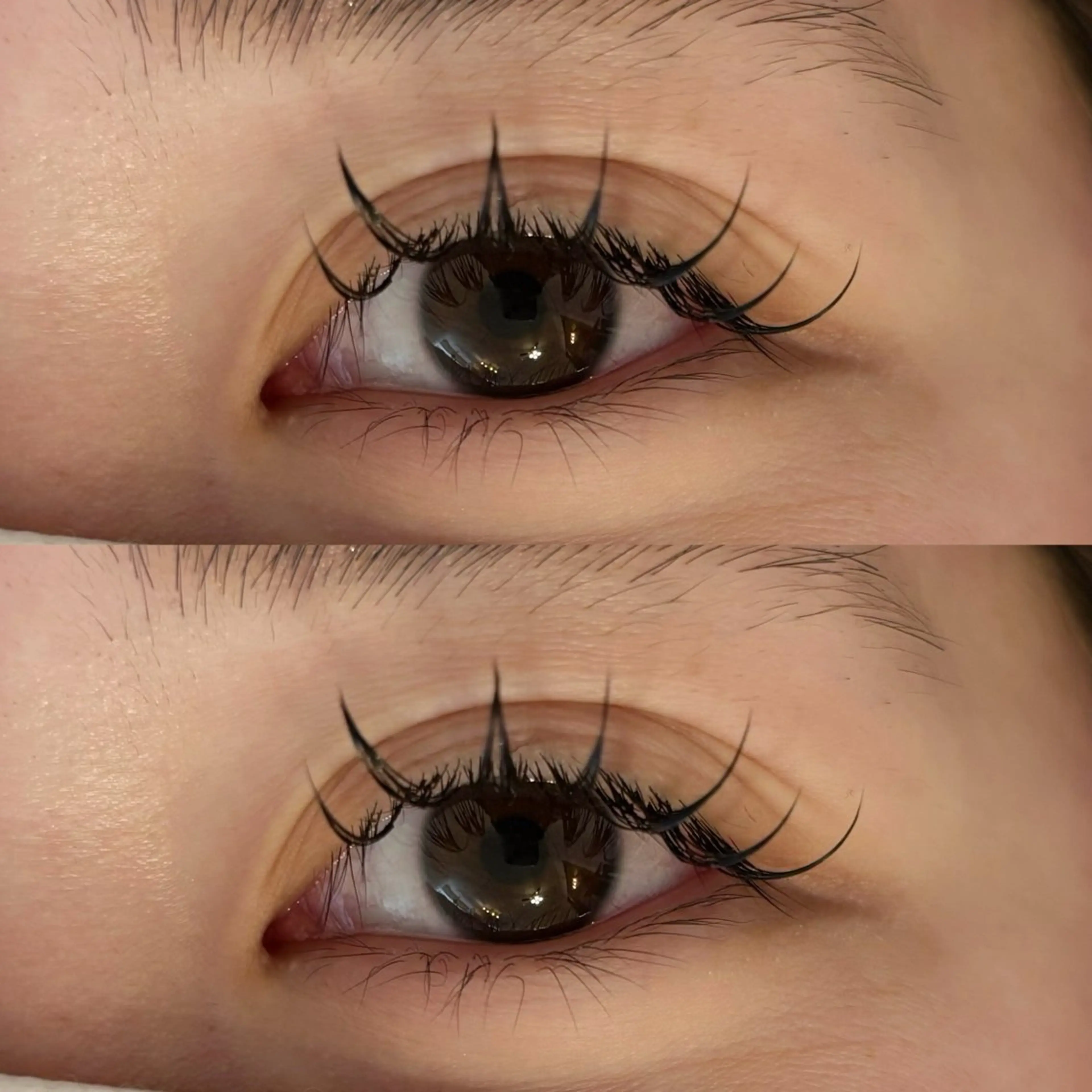 マツエク・マツパ 束感まつ毛 フラットラッシュ 🍇chinatsu 🍇en Rêveのマツエク・マツパデザイン