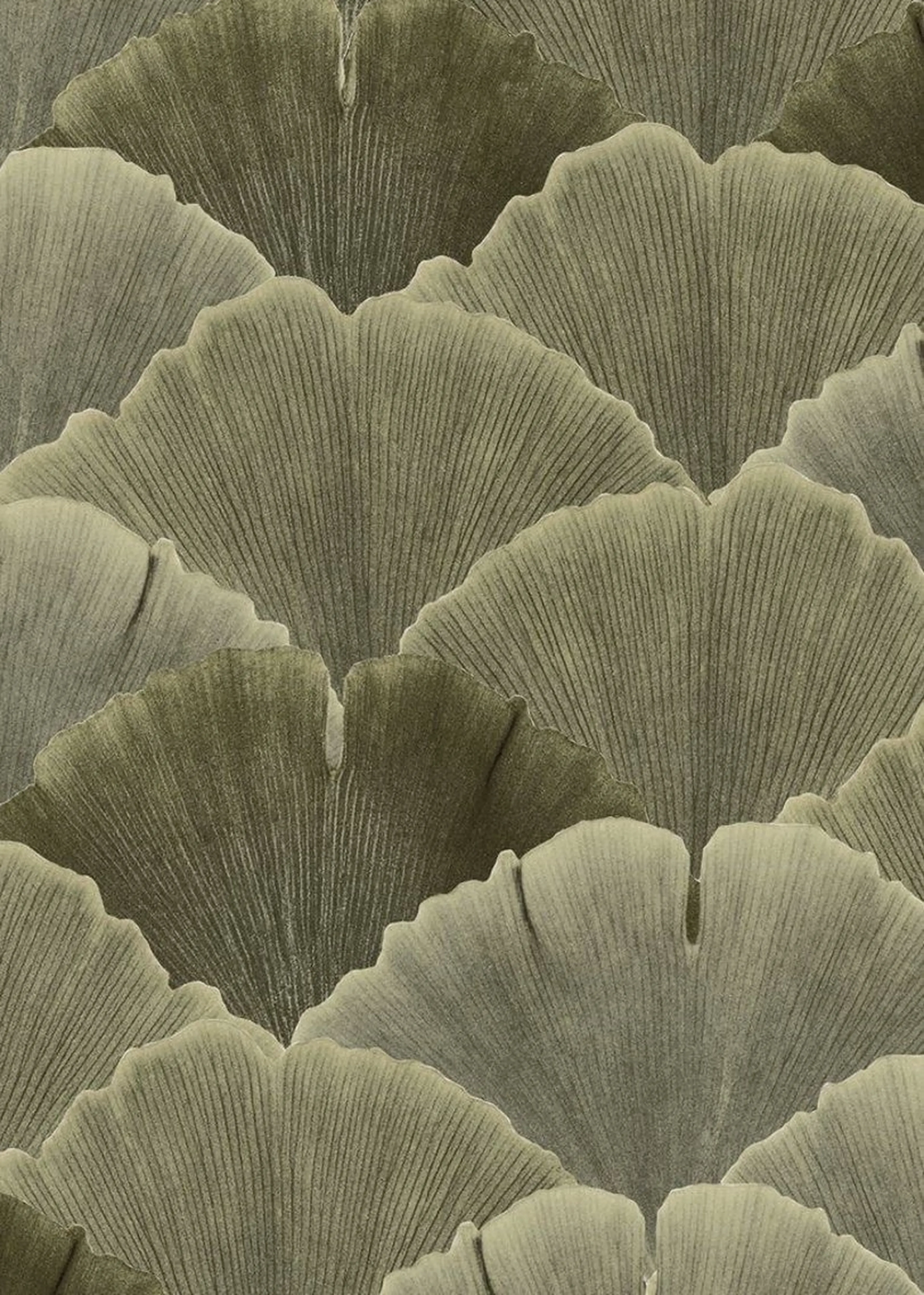 マツエク・マツパ マツパ 🦋MaaZlash 南流山FUKA🤍のマツエク・マツパデザイン