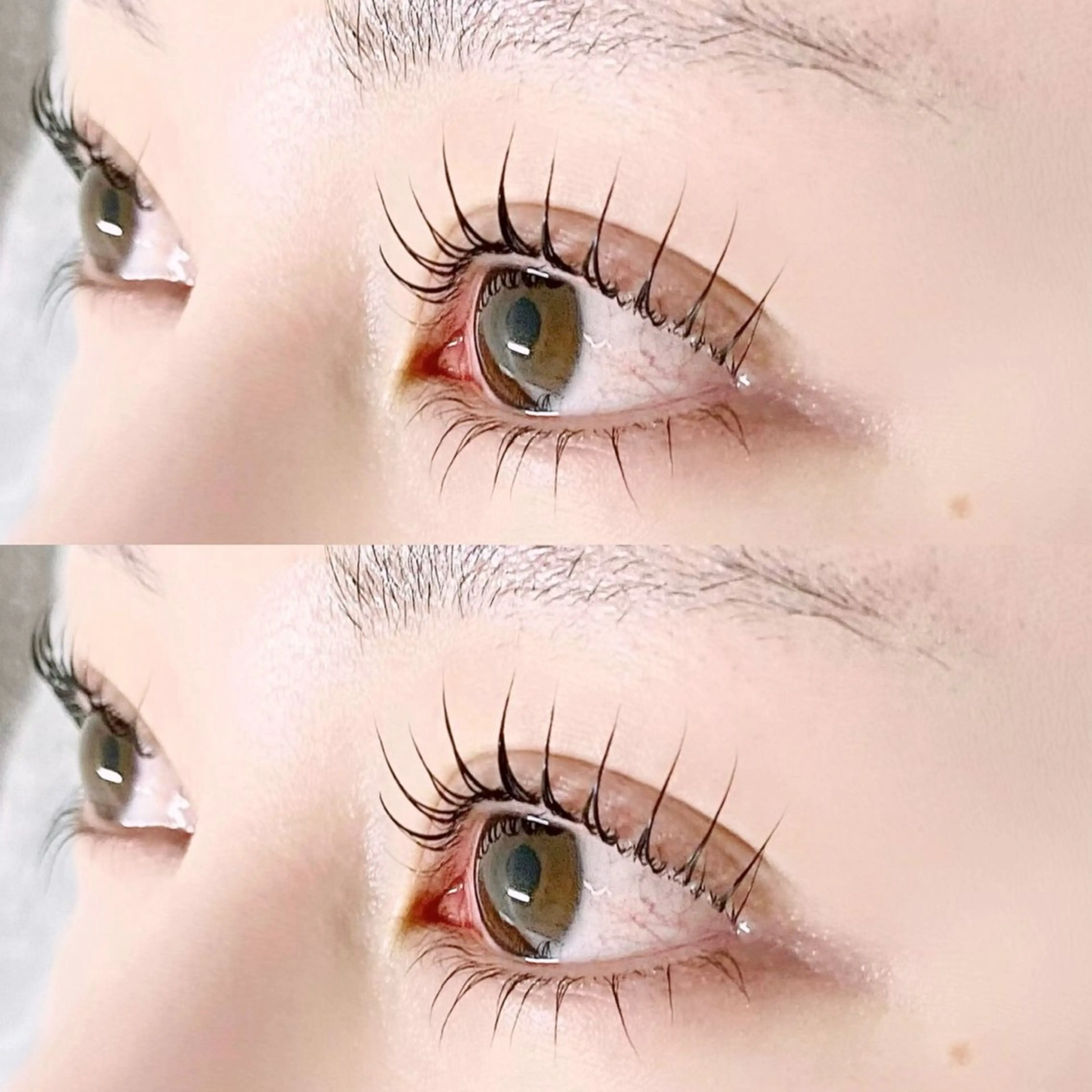 《上下》パリジェンヌラッシュリフト🦦の写真