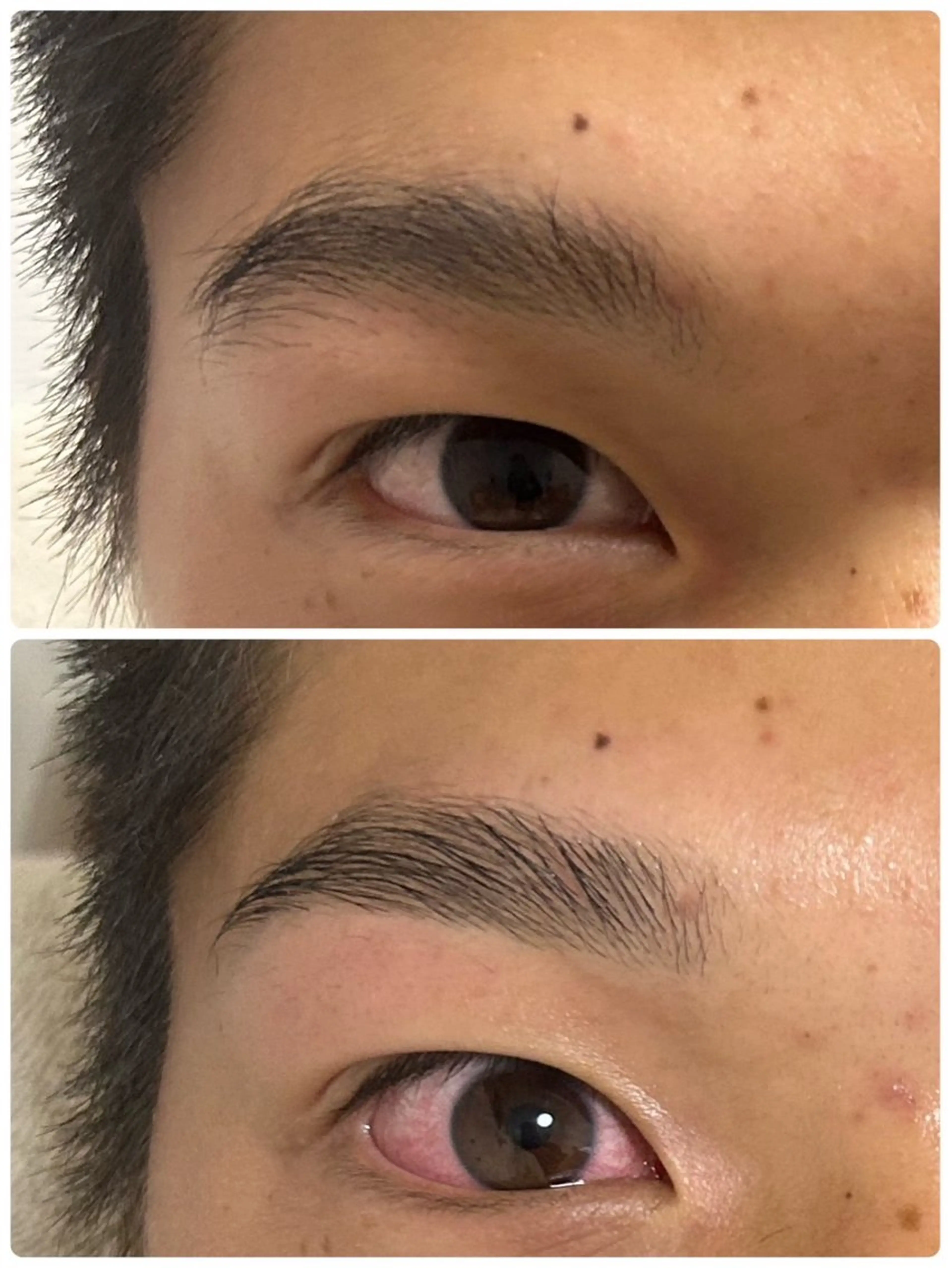 アイブロウ BOGL/ HARAの眉毛・アイブロウイメージ