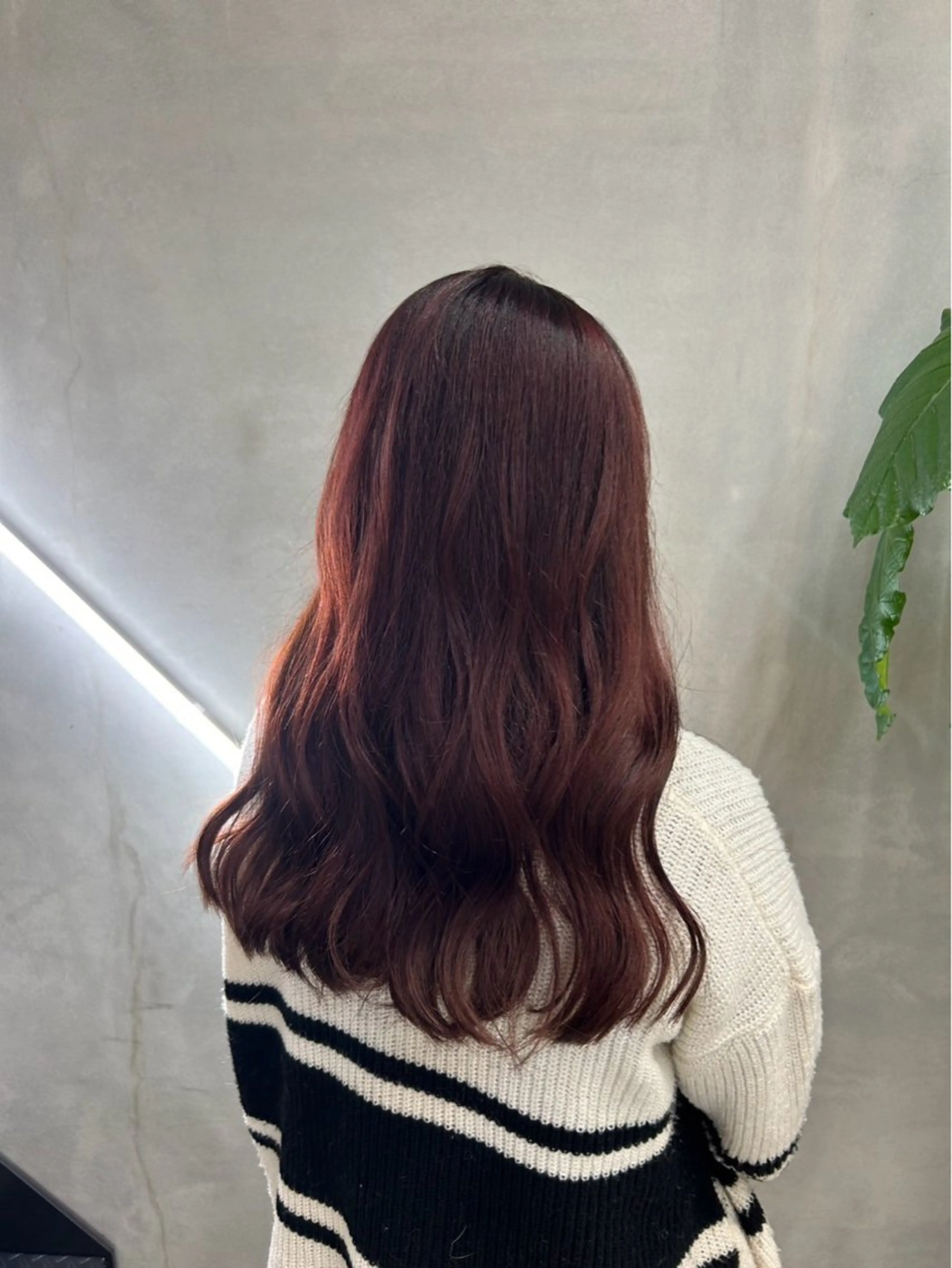 ロング カラー 坂本 天馬のヘアスタイル