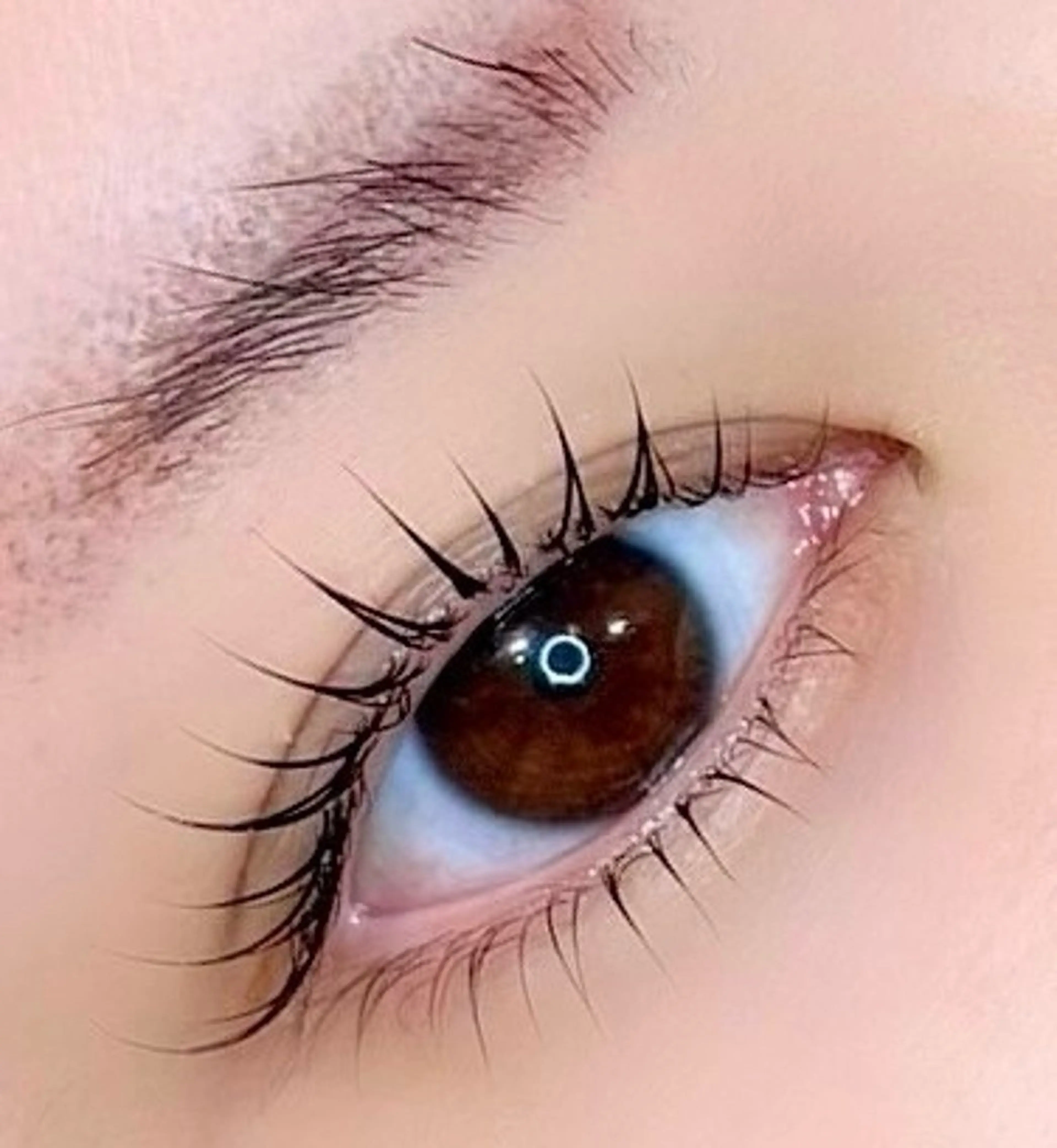 💝期間限定💝似合わせまつげパーマ《上まつ毛のみになります》モデルメニューのため必ず⚠️をお読みください🙇‍♀️の写真