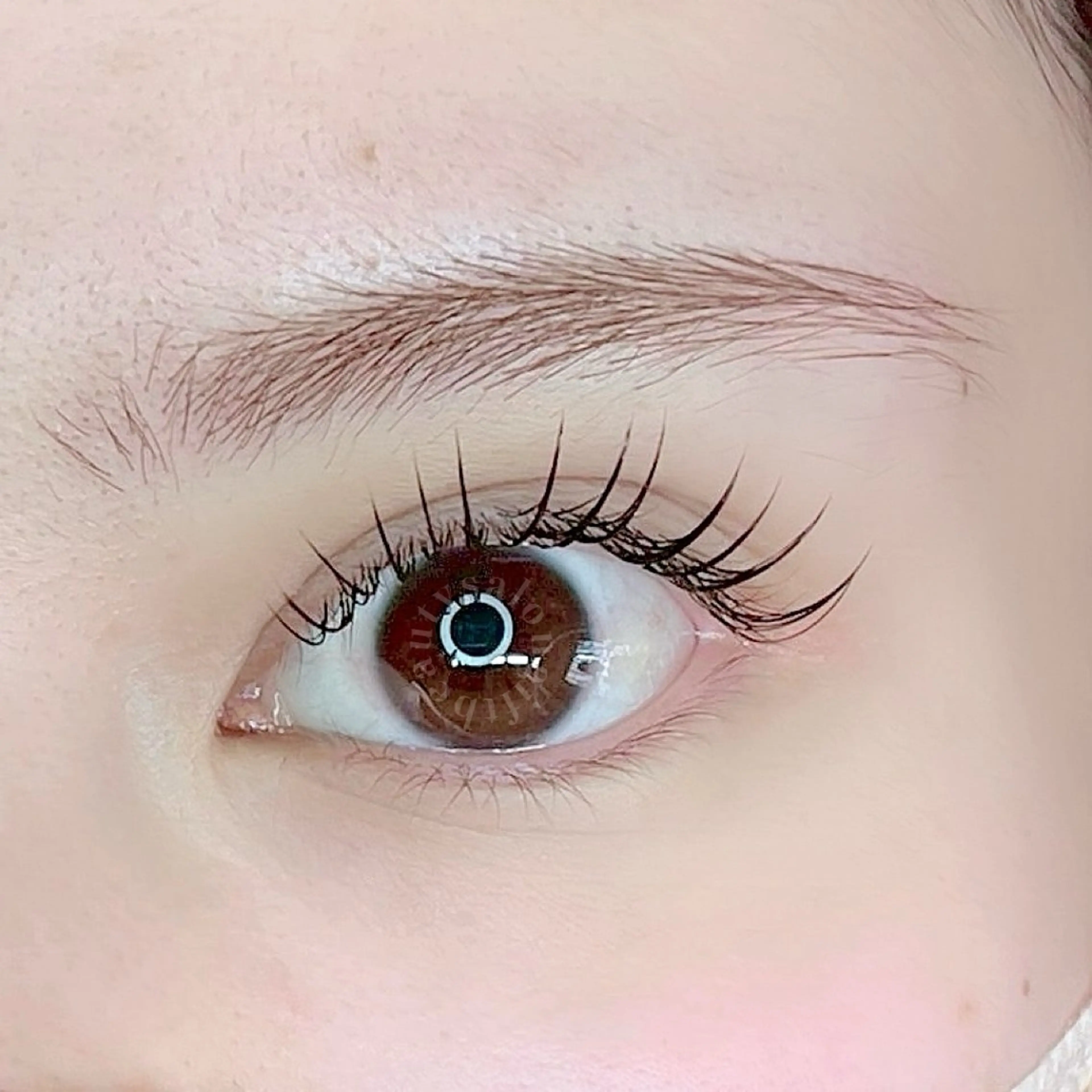 練習モデル　LEDエクステ フラットラッシュ　105分つけ放題の写真