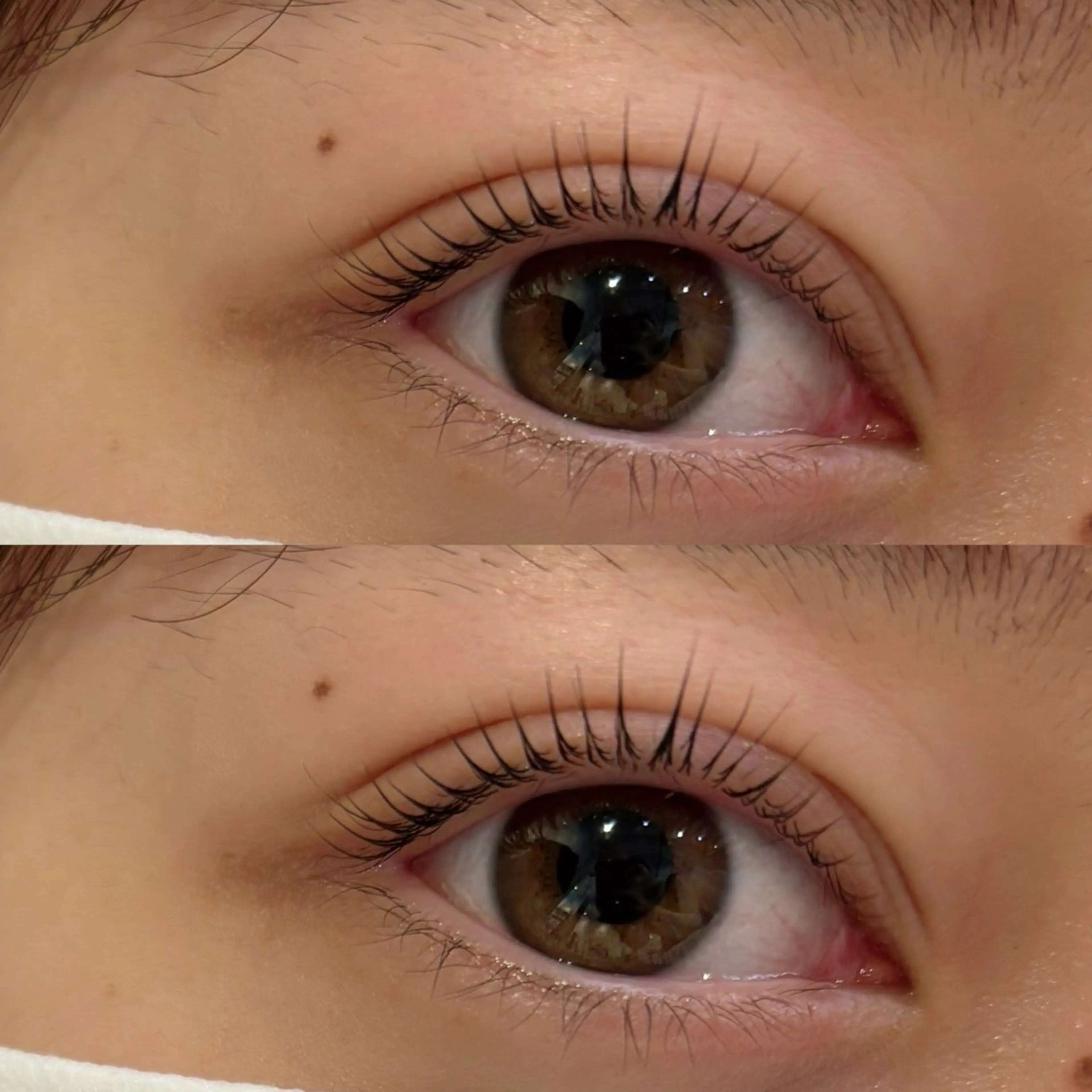 マツエク・マツパ kana🎀まつぱ/ ハーブピーリングの眉毛・アイブロウイメージ