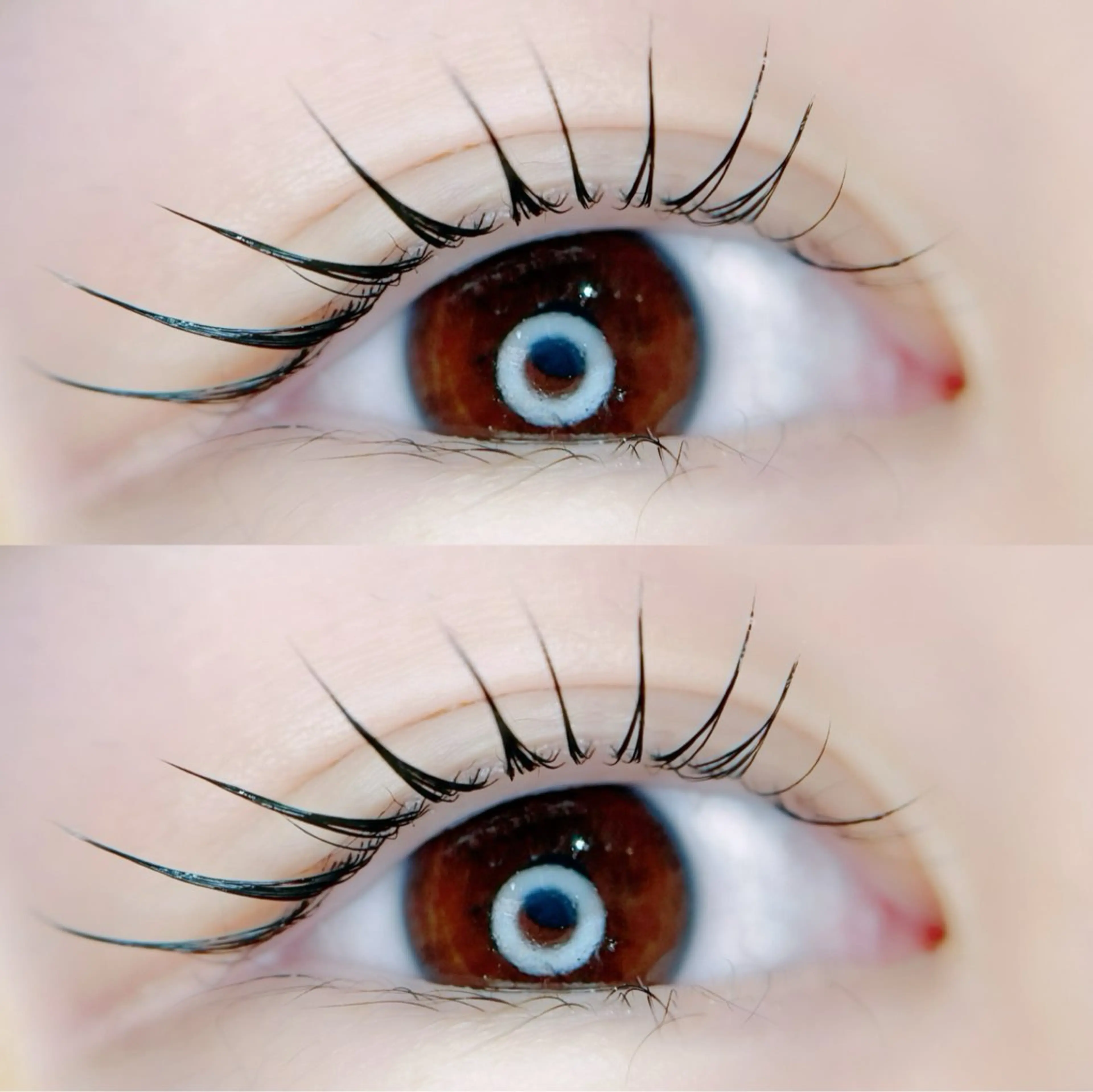 限定✨️骨格似合わせまつげパーマ＆ドライスパ＆TR💞の写真