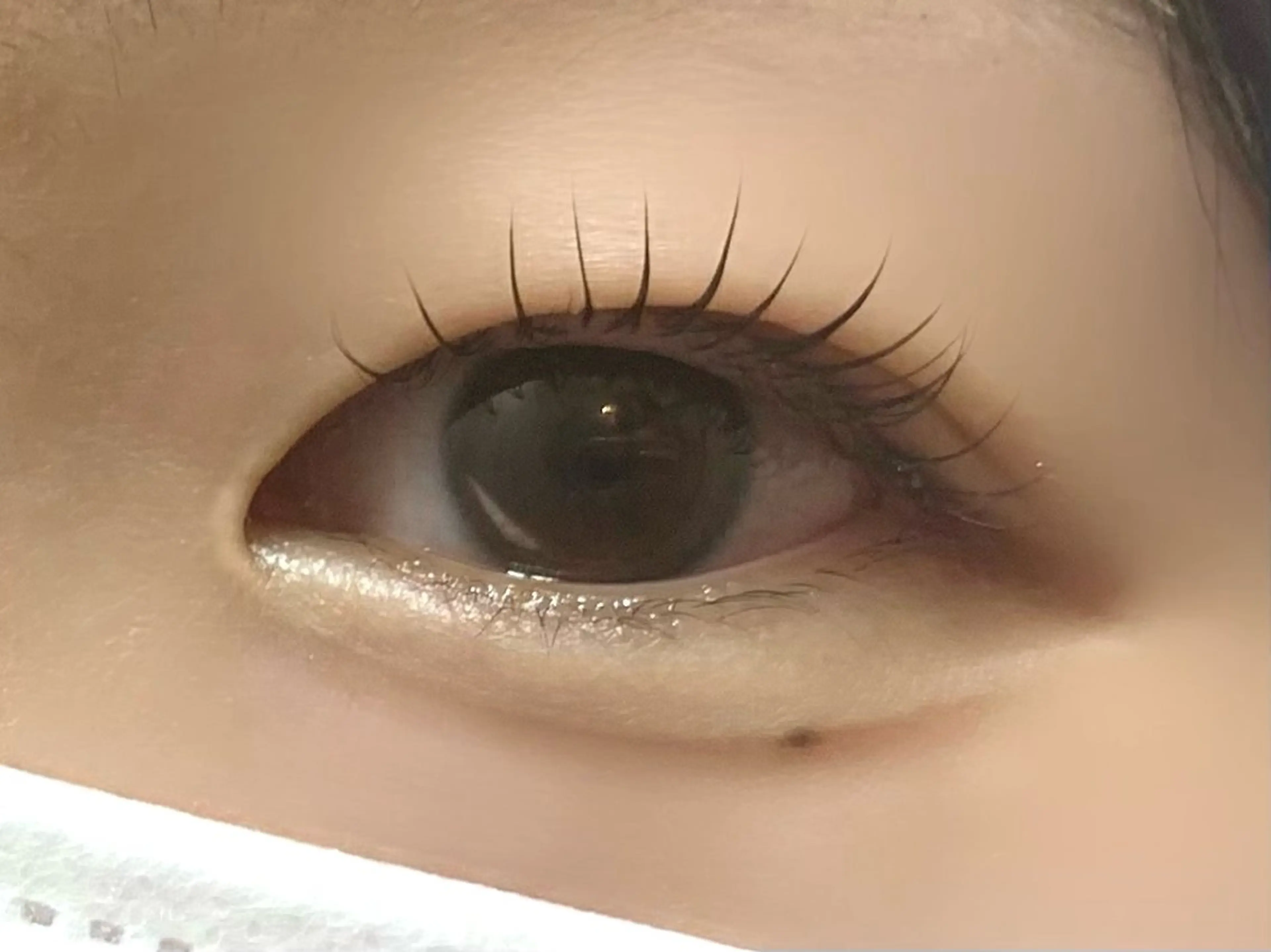 【オフなし･上まつ毛のみ】似合わせまつ毛パーマ💍の写真