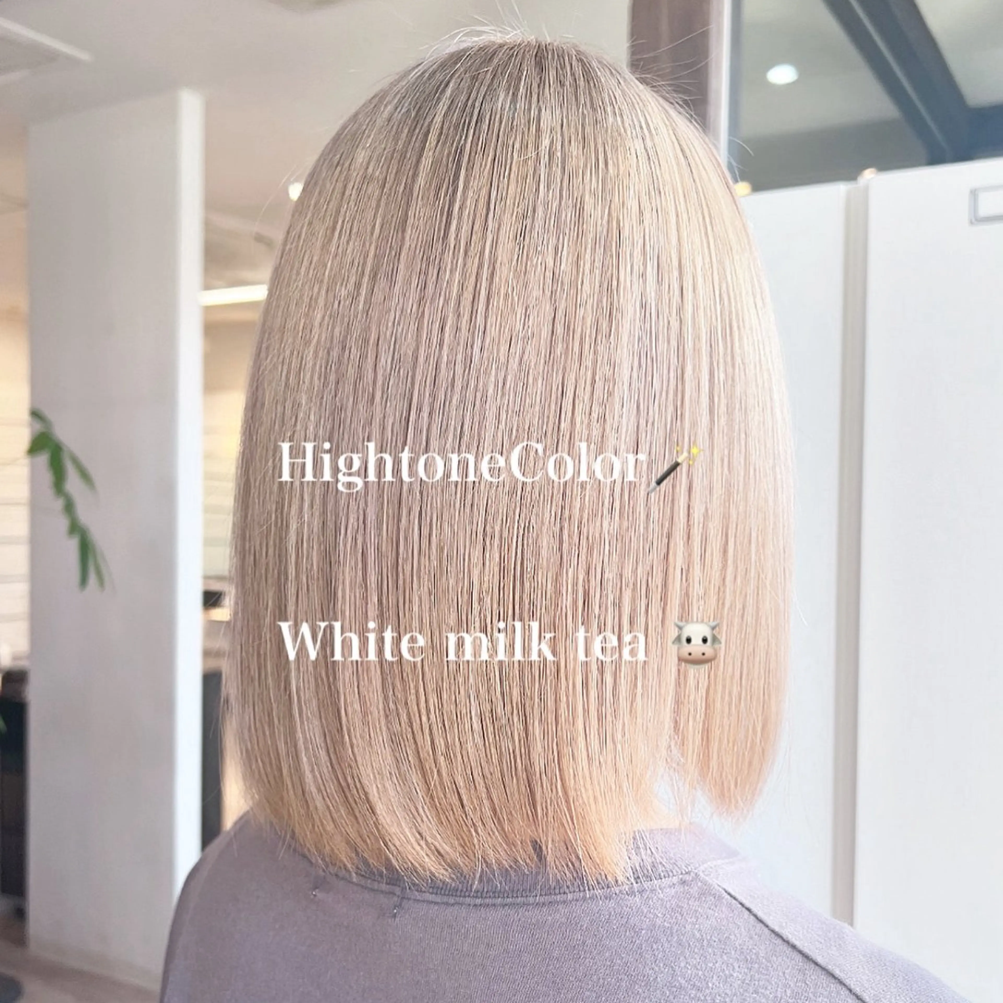 ミディアム 三原 つばさのヘアスタイル