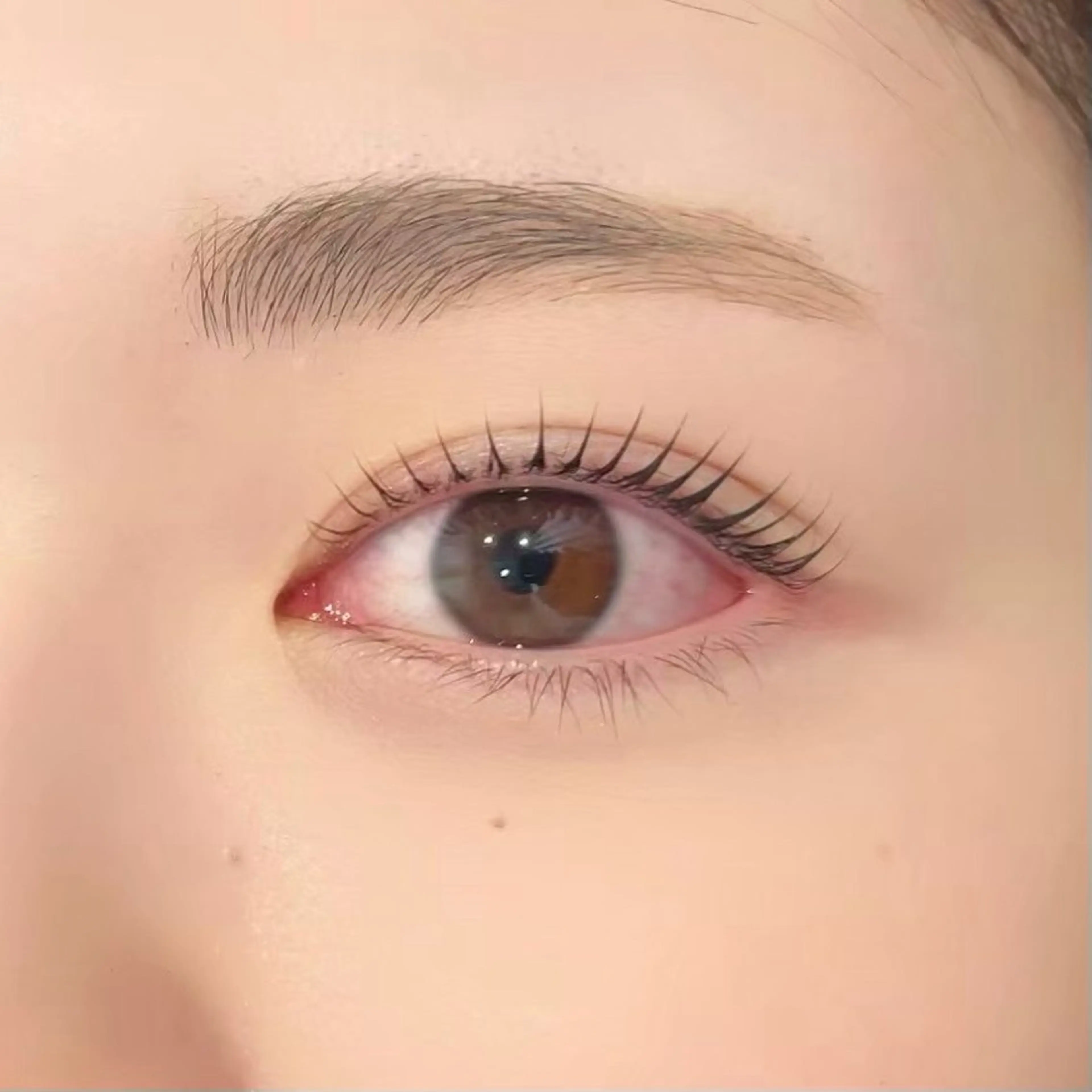 [ナチュラル可愛くなりたい人オススメ👀🌼]まつ毛パーマ⭐️の写真