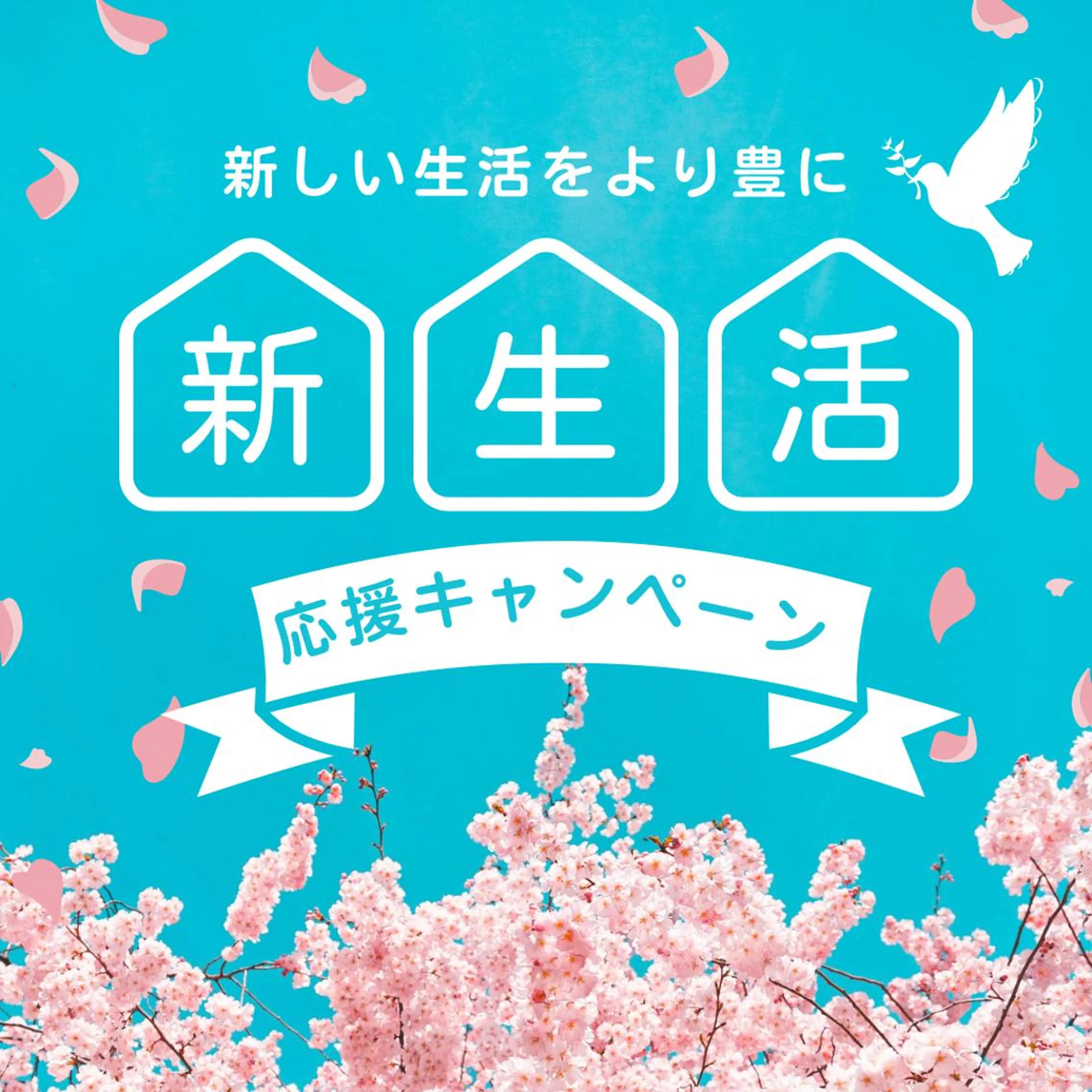 🎀 新生活応援キャンペーン🎀まつ毛パーマコーティング付き♡の写真