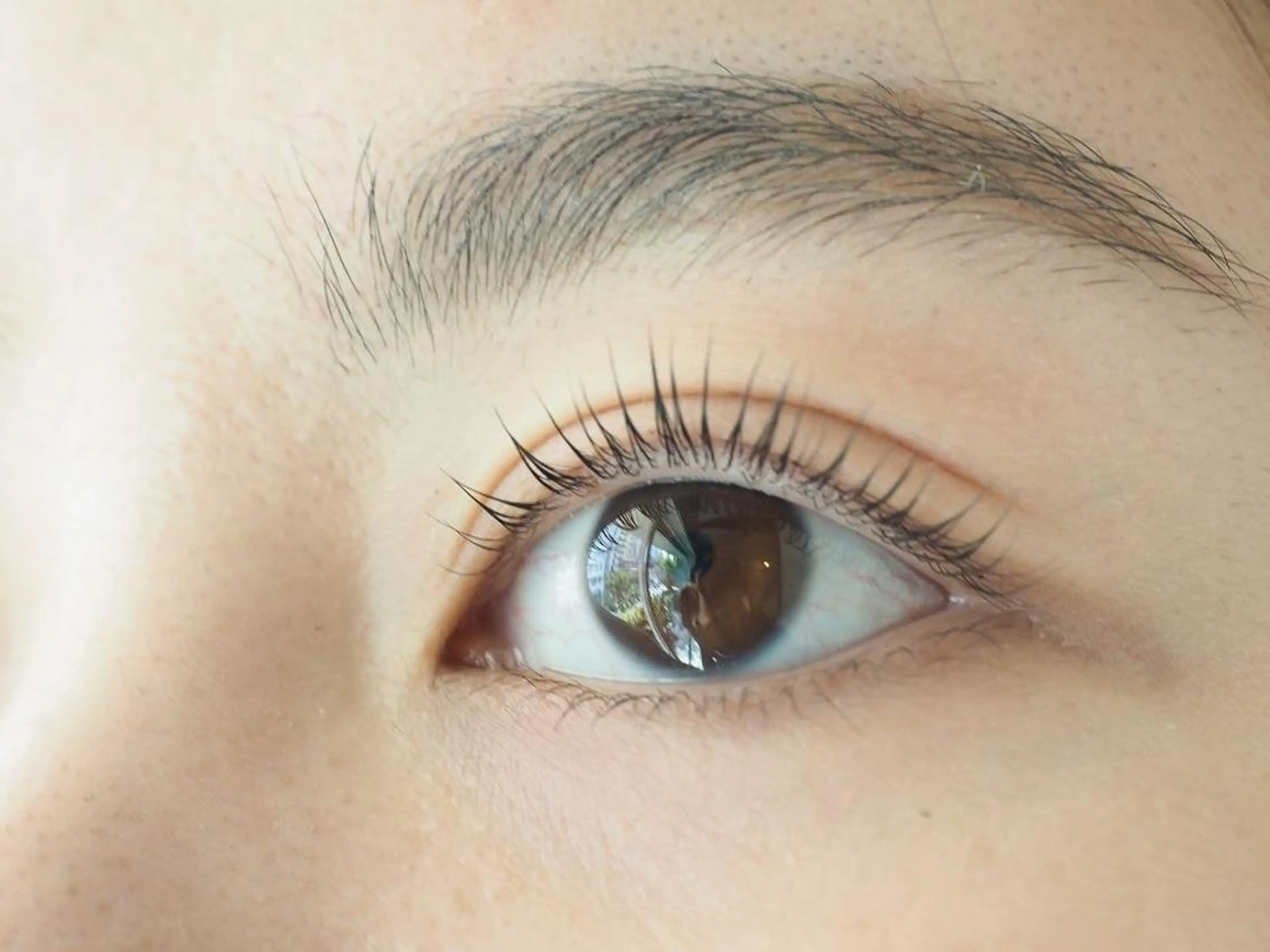 マツエク・マツパ Favori 山下のマツエク・マツパデザイン