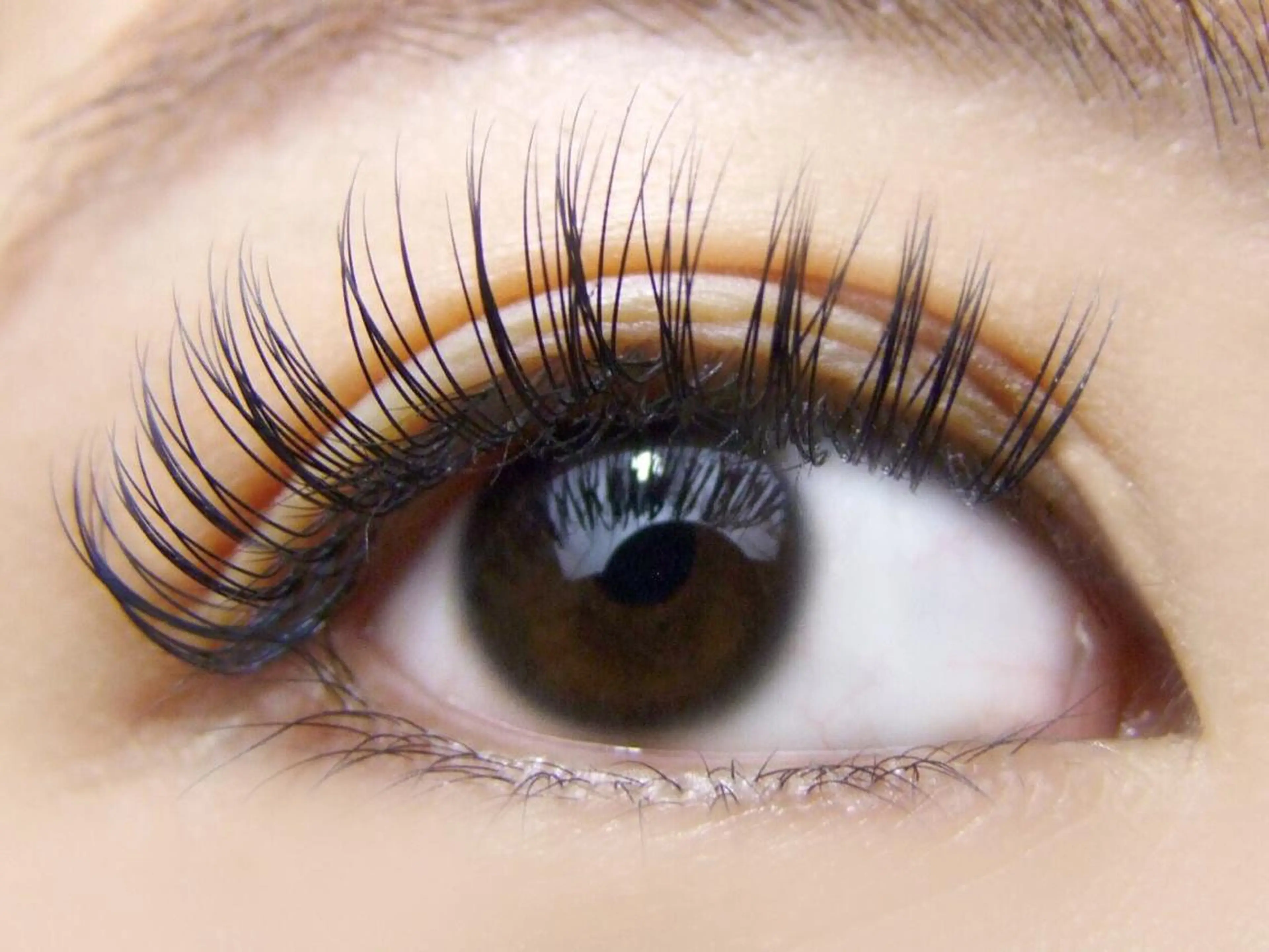 マツエク・マツパ Dカール ナチュラル iolo nakajimaのマツエク・マツパデザイン